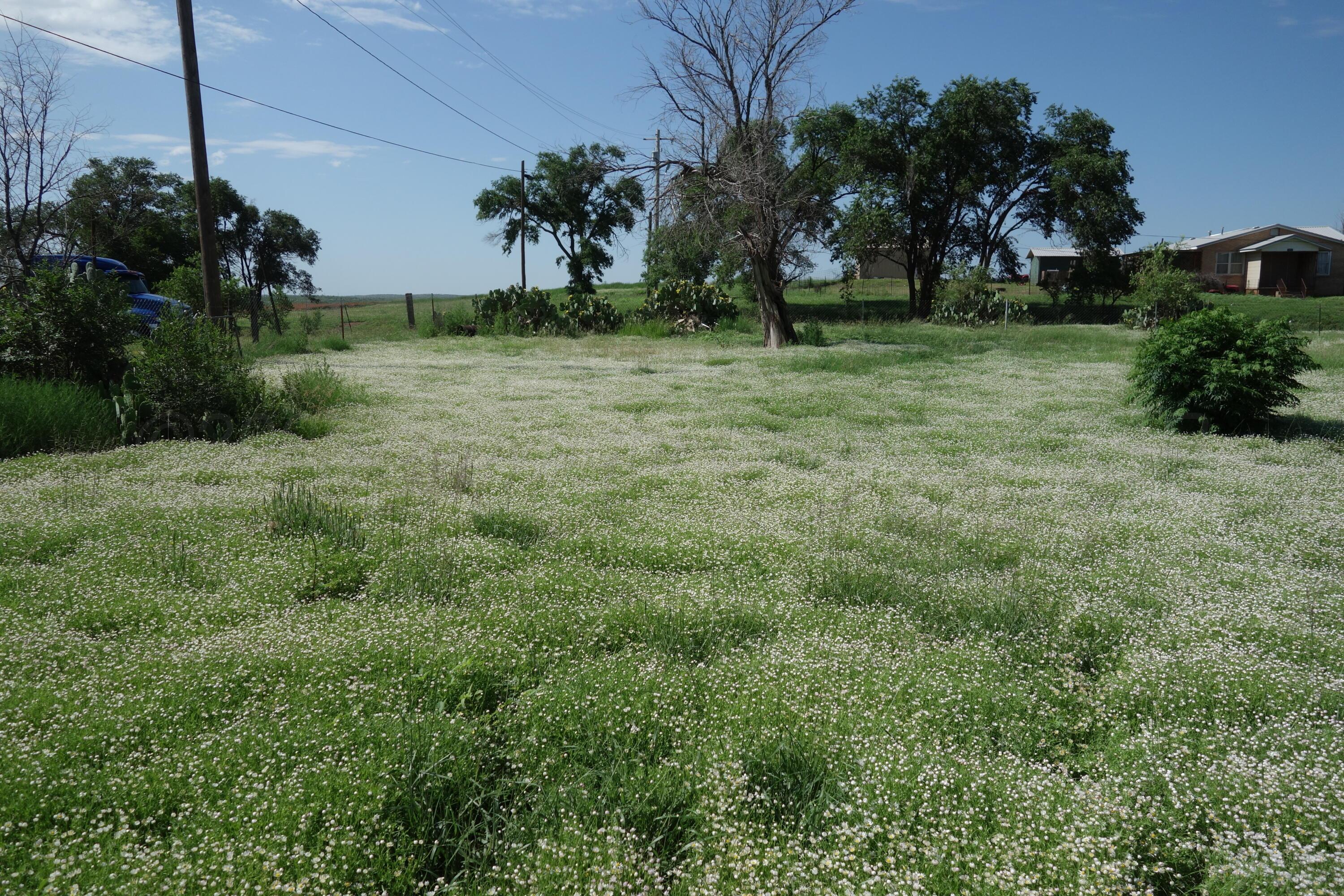 Memphis, Texas 79245, United States, ,Land,Active,86082