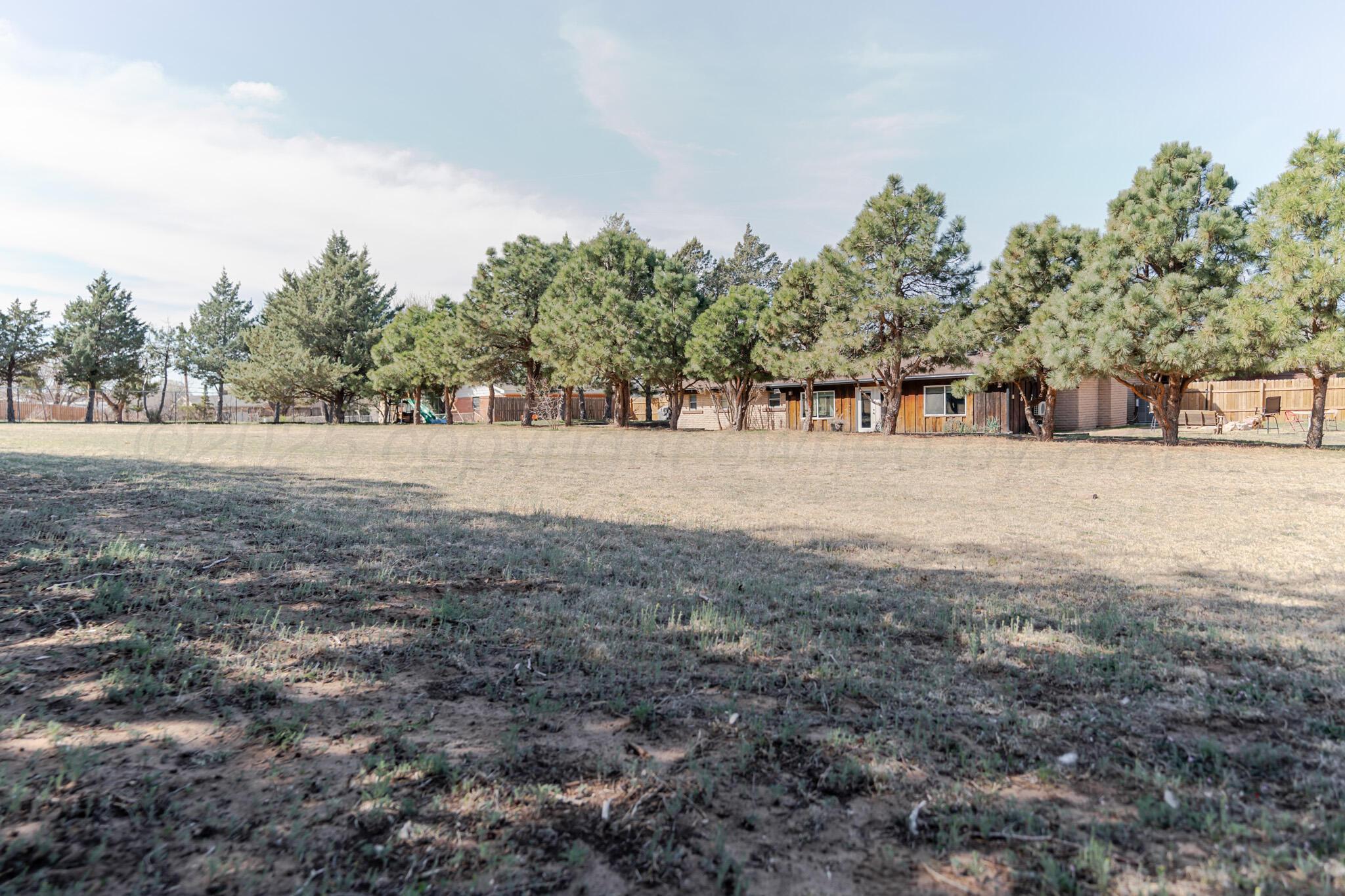 217 Arroyo Verde Drive, Fritch, Texas image 23