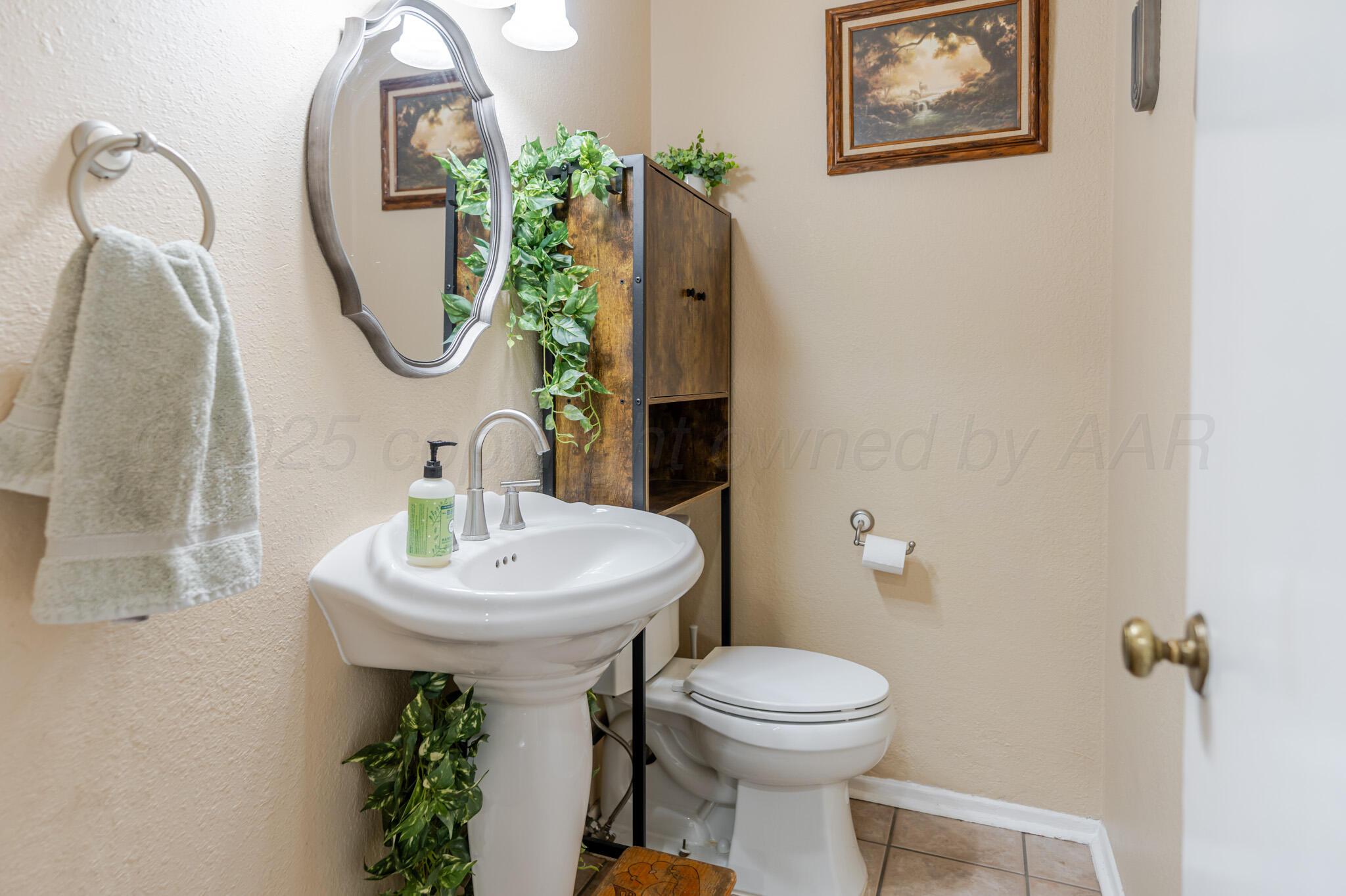 217 Arroyo Verde Drive, Fritch, Texas image 10