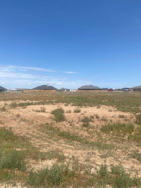 9306 Wind Flower Lane, Amarillo, Texas image 3