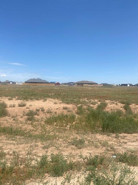 9306 Wind Flower Lane, Amarillo, Texas image 4