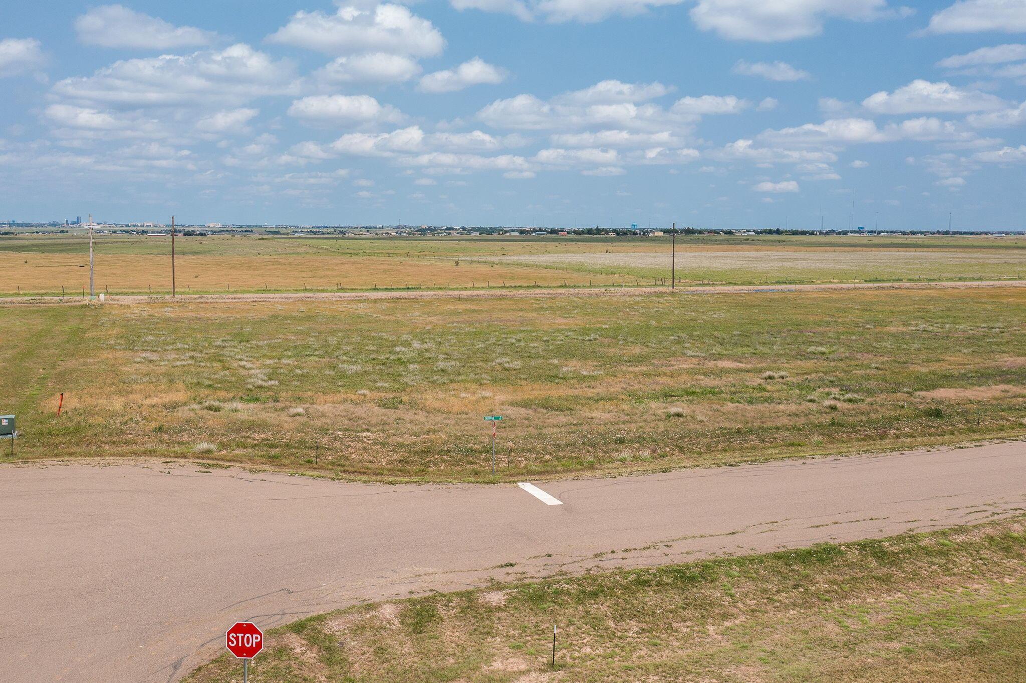 1317 Silverman Road, Amarillo, Texas image 4