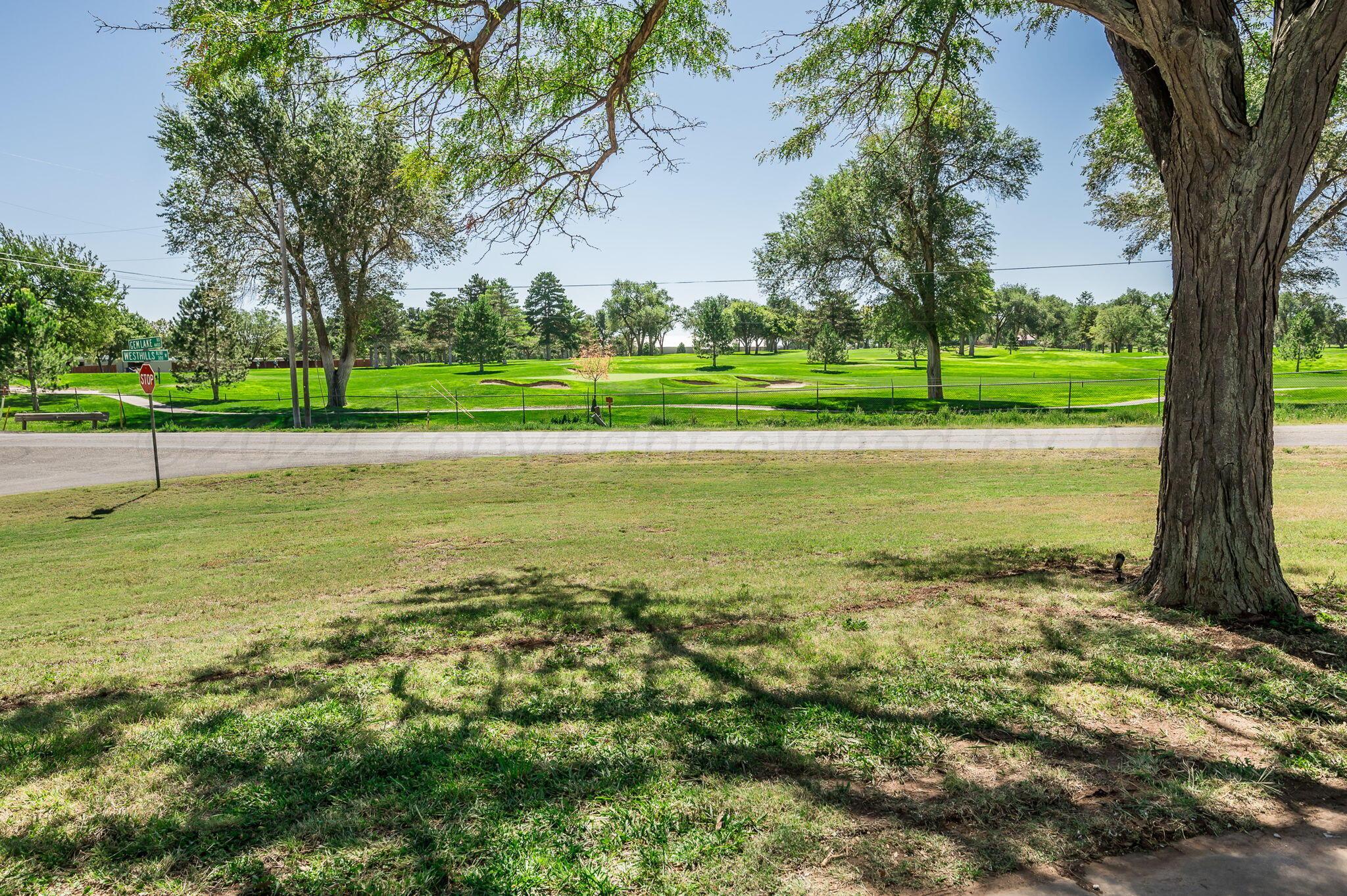 4400 E Gem Lake Road, Amarillo, Texas image 4