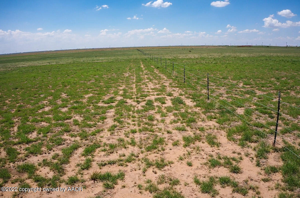 95 Acres Hwy 60, Dawn, Texas image 6