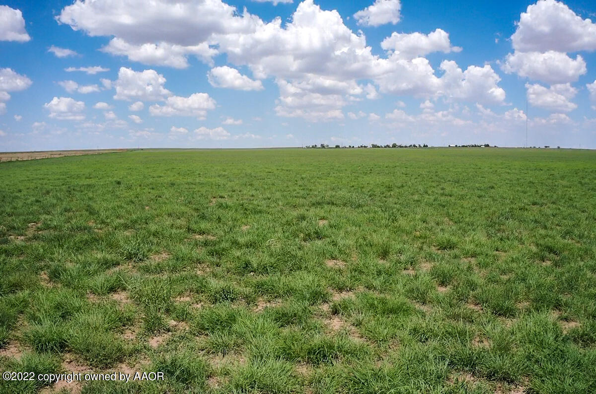 95 Acres Hwy 60, Dawn, Texas image 8