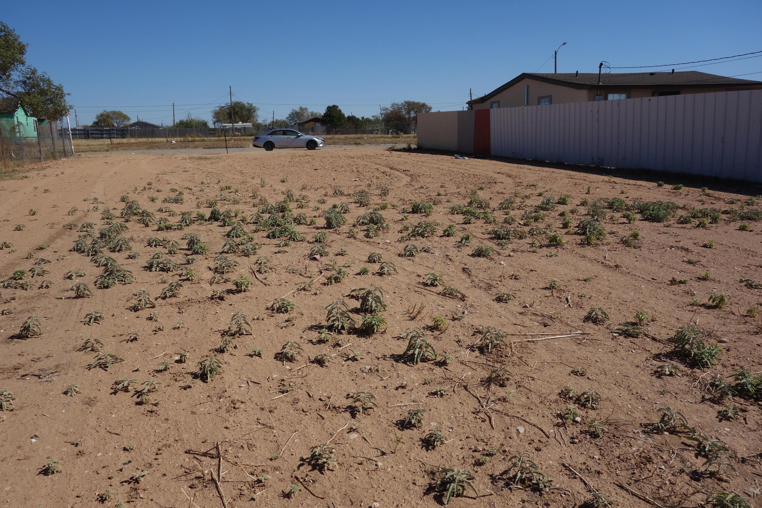 403 N Washington Street, Amarillo, Texas image 4