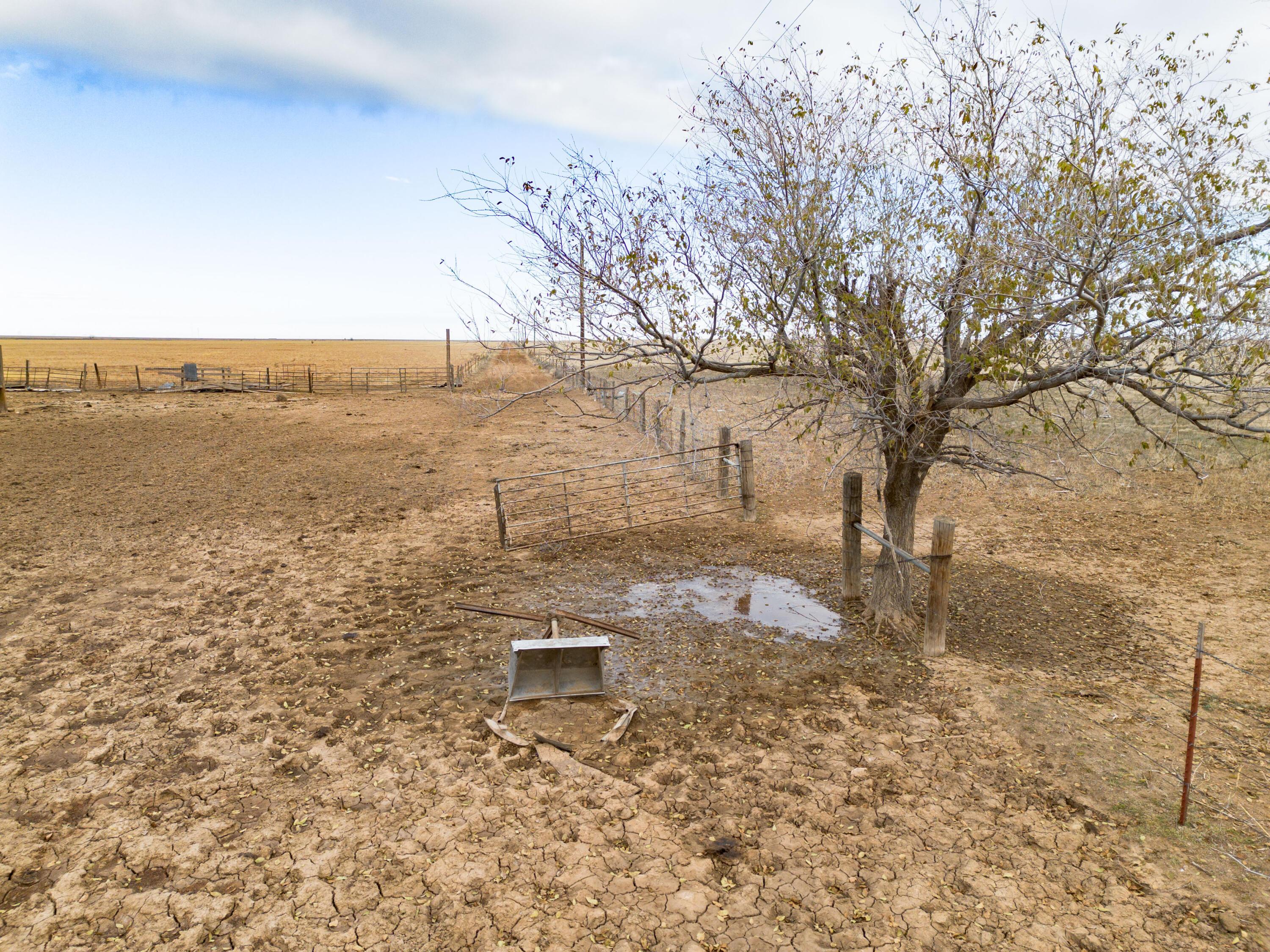 800 Ac S. Blessen Road, Canyon, Texas image 10