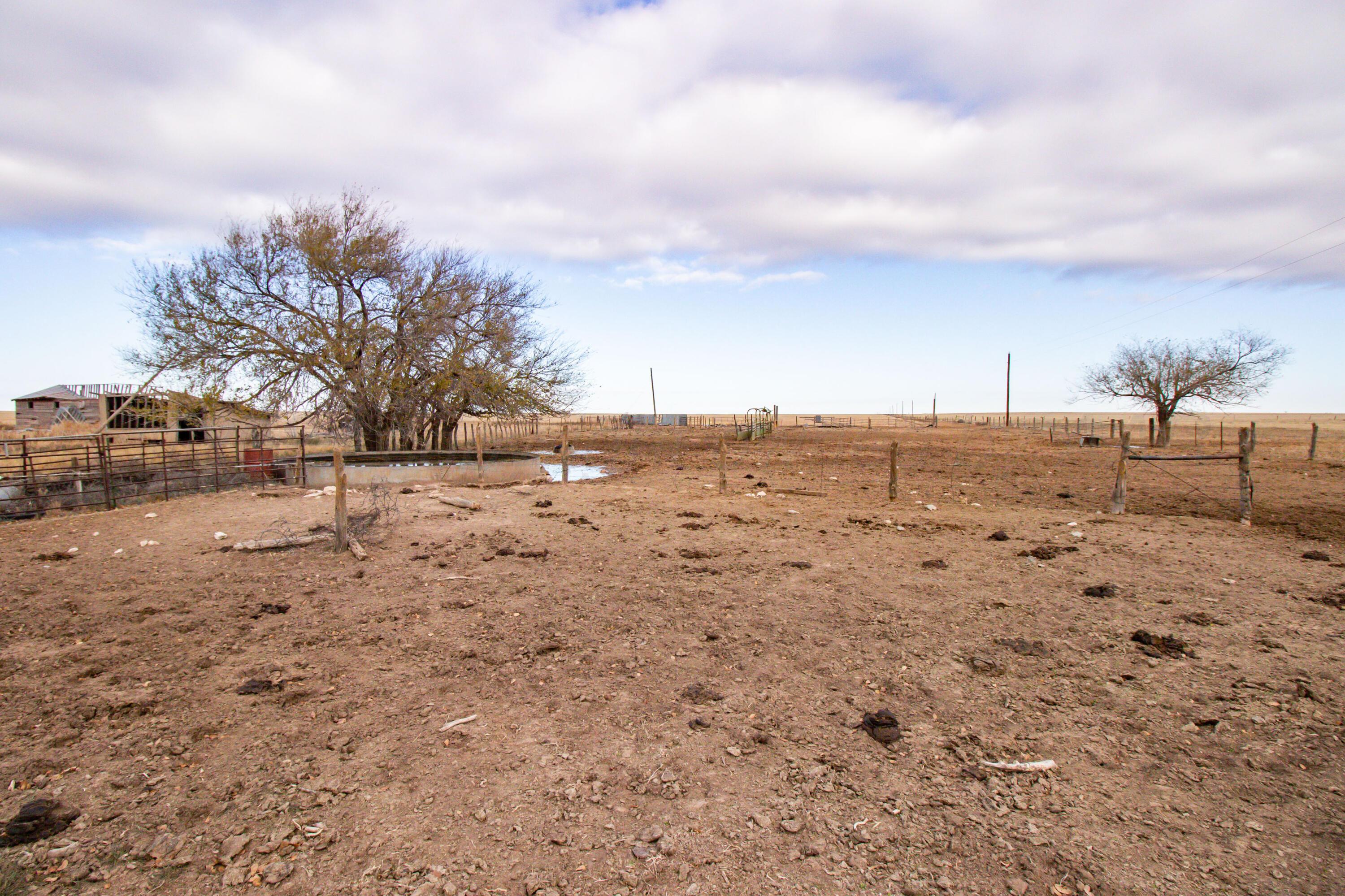 800 Ac S. Blessen Road, Canyon, Texas image 21