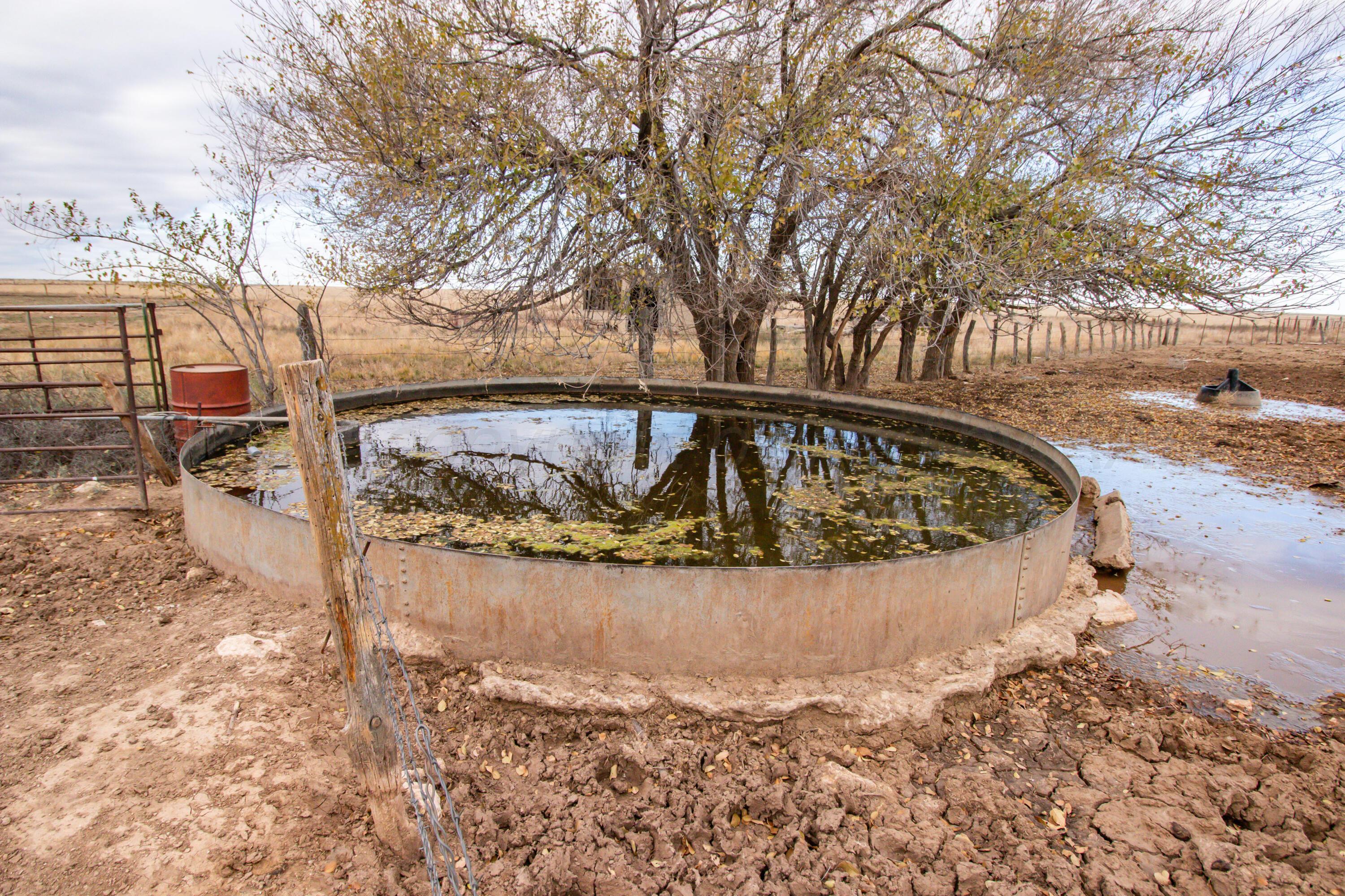 800 Ac S. Blessen Road, Canyon, Texas image 16