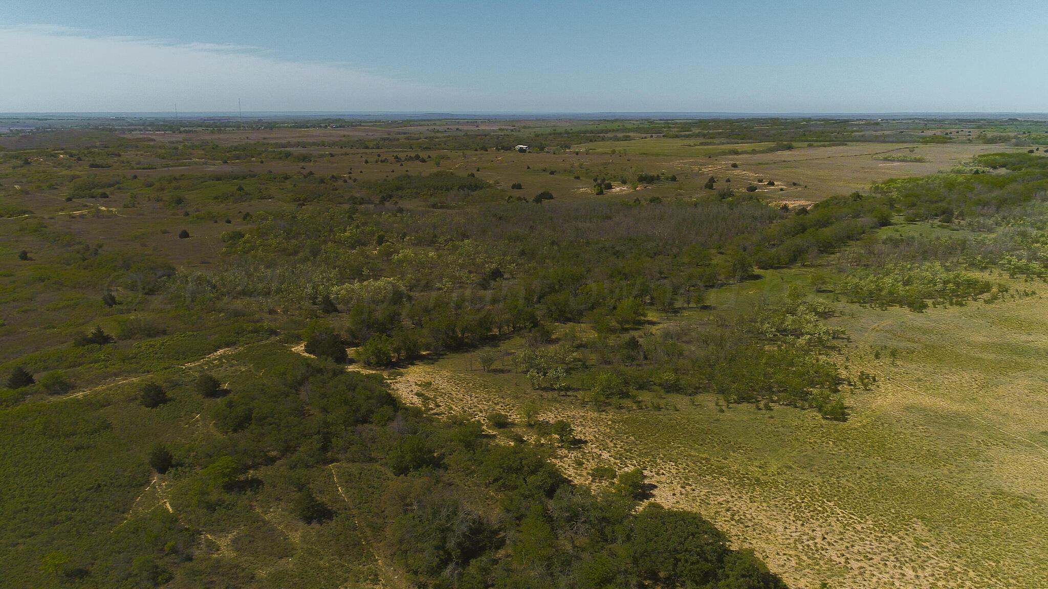169 Pavolosky Place Street, Shamrock, Texas image 37