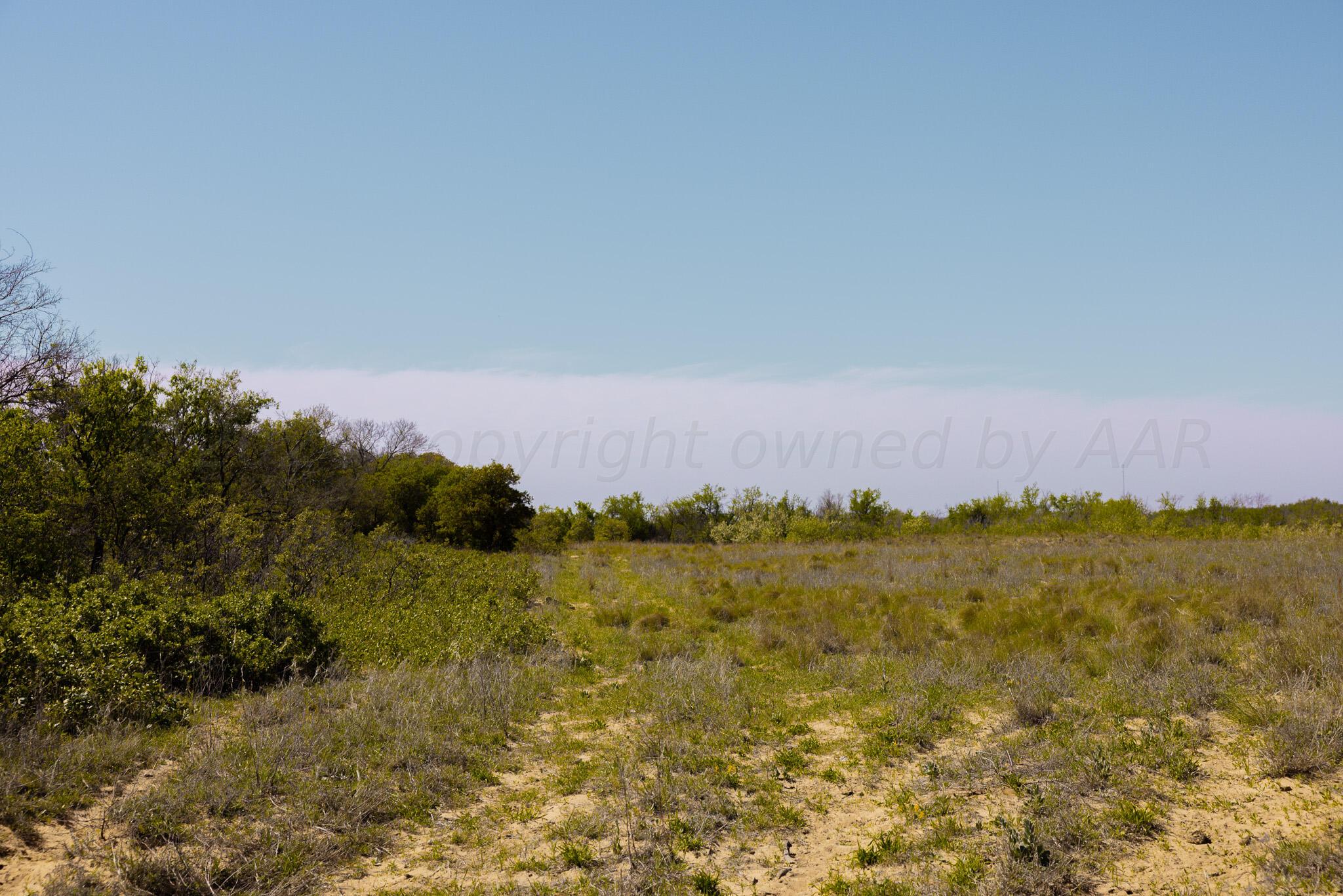 169 Pavolosky Place Street, Shamrock, Texas image 4