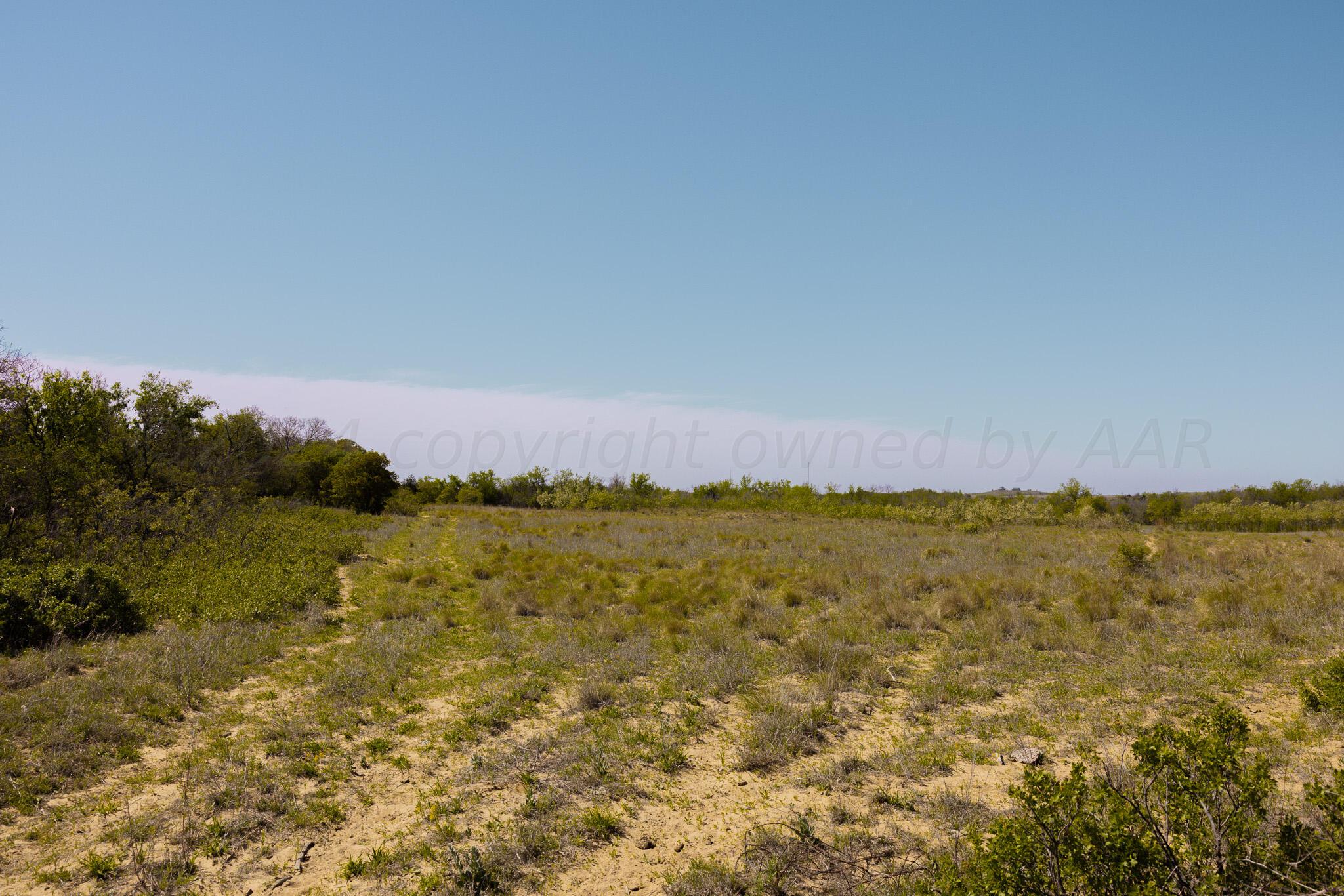 169 Pavolosky Place Street, Shamrock, Texas image 8