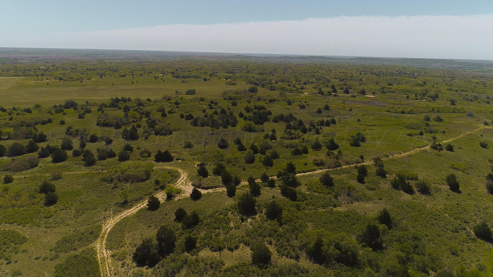 169 Pavolosky Place Street, Shamrock, Texas image 36