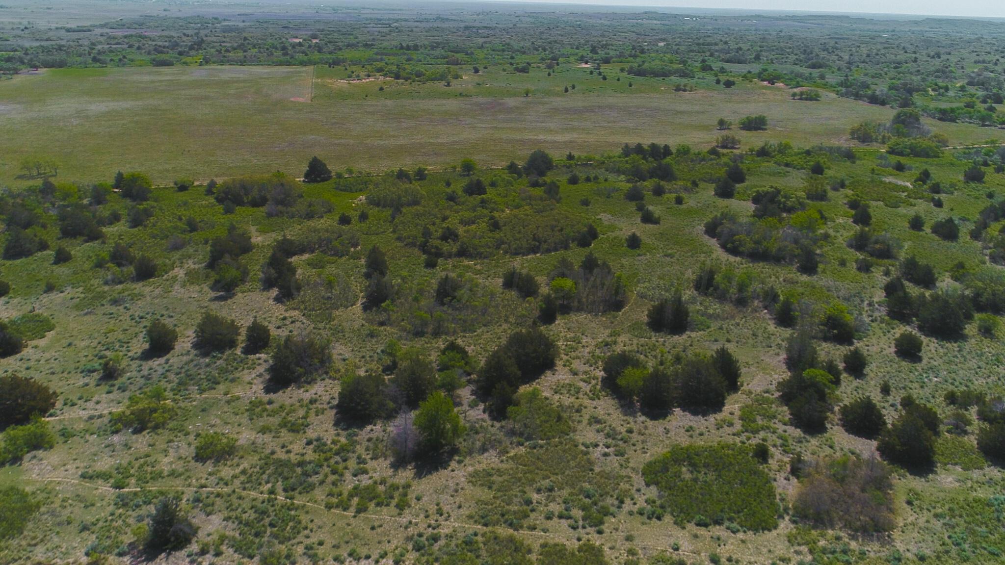 169 Pavolosky Place Street, Shamrock, Texas image 47