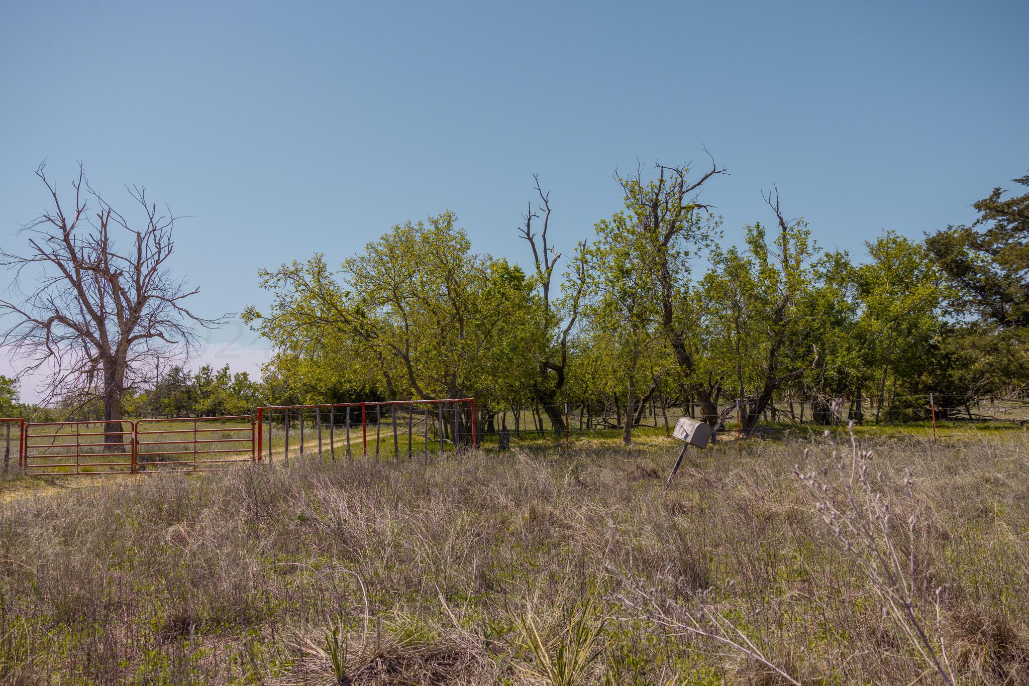 169 Pavolosky Place Street, Shamrock, Texas image 25