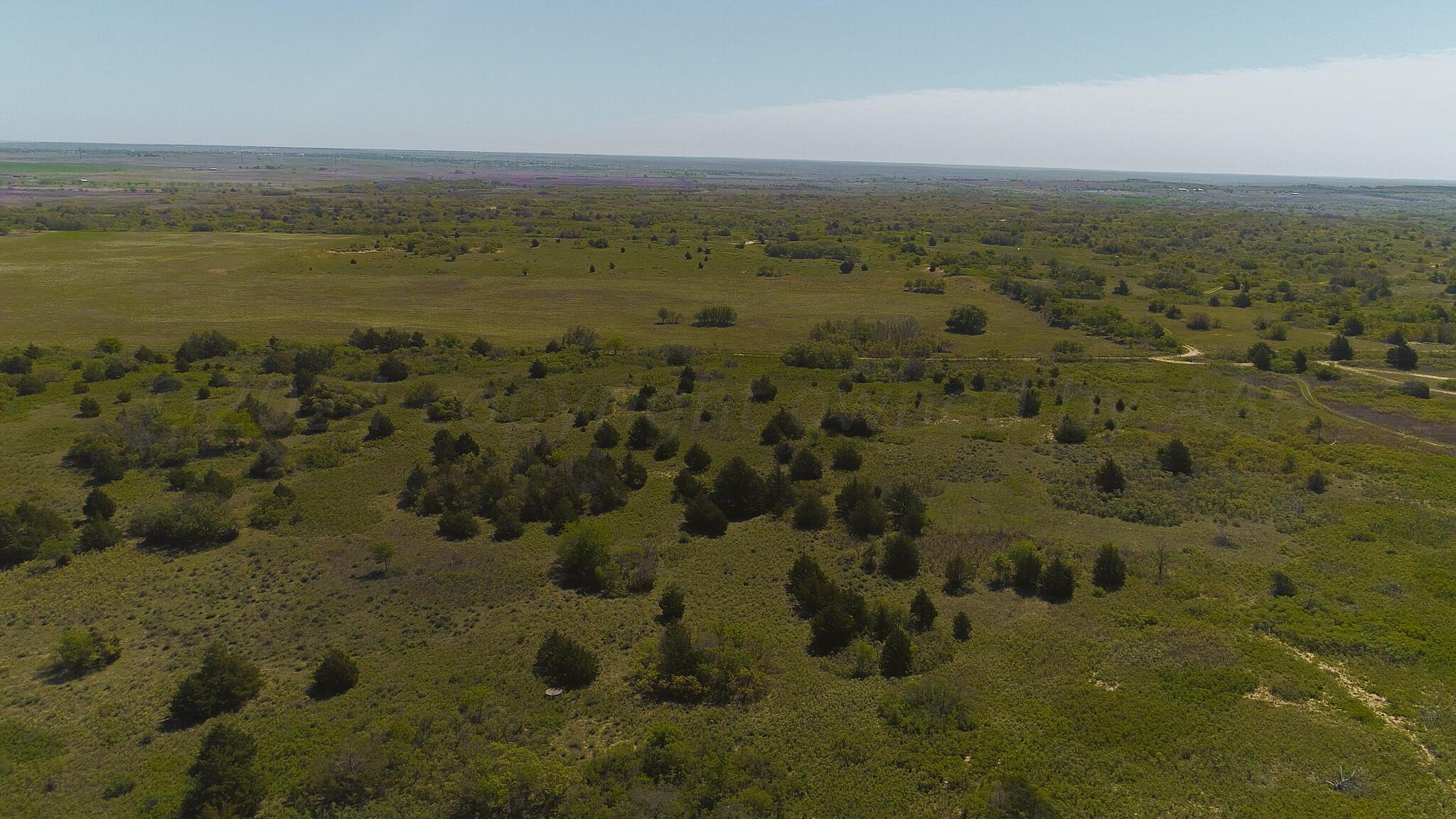 169 Pavolosky Place Street, Shamrock, Texas image 40