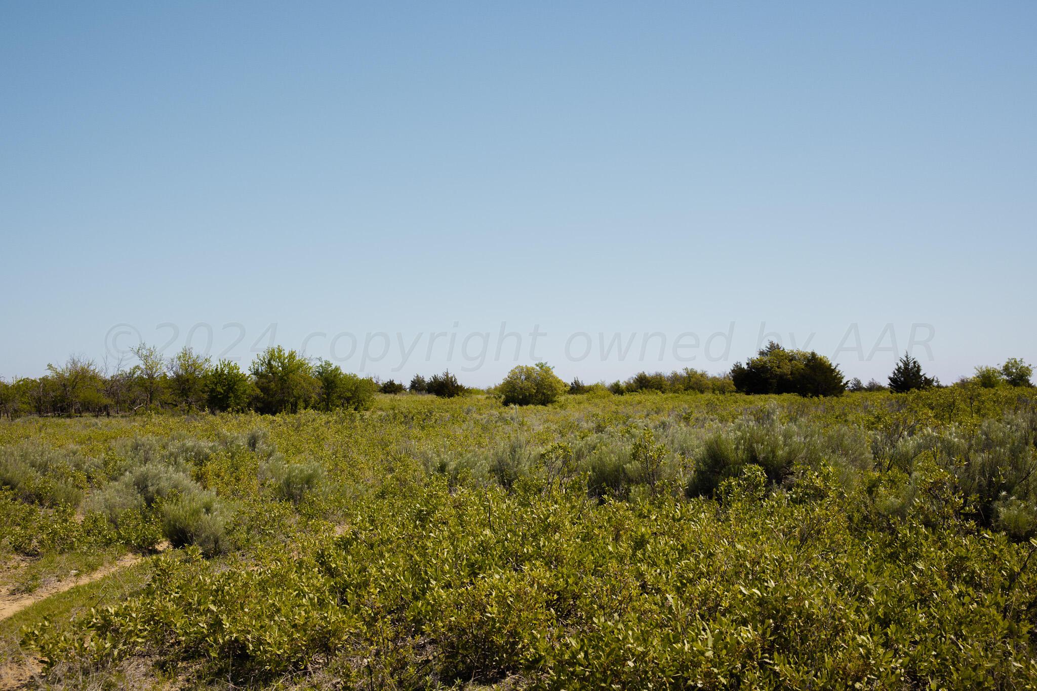 169 Pavolosky Place Street, Shamrock, Texas image 1