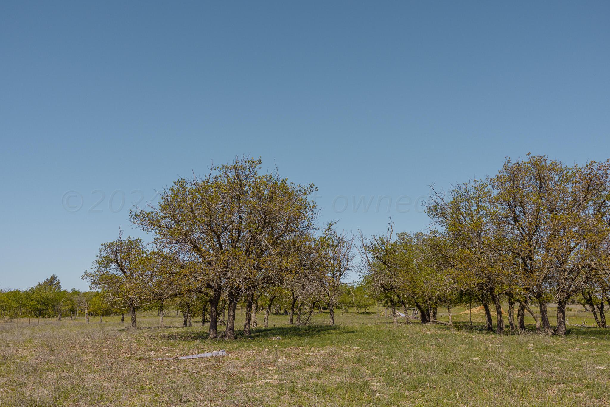 169 Pavolosky Place Street, Shamrock, Texas image 20