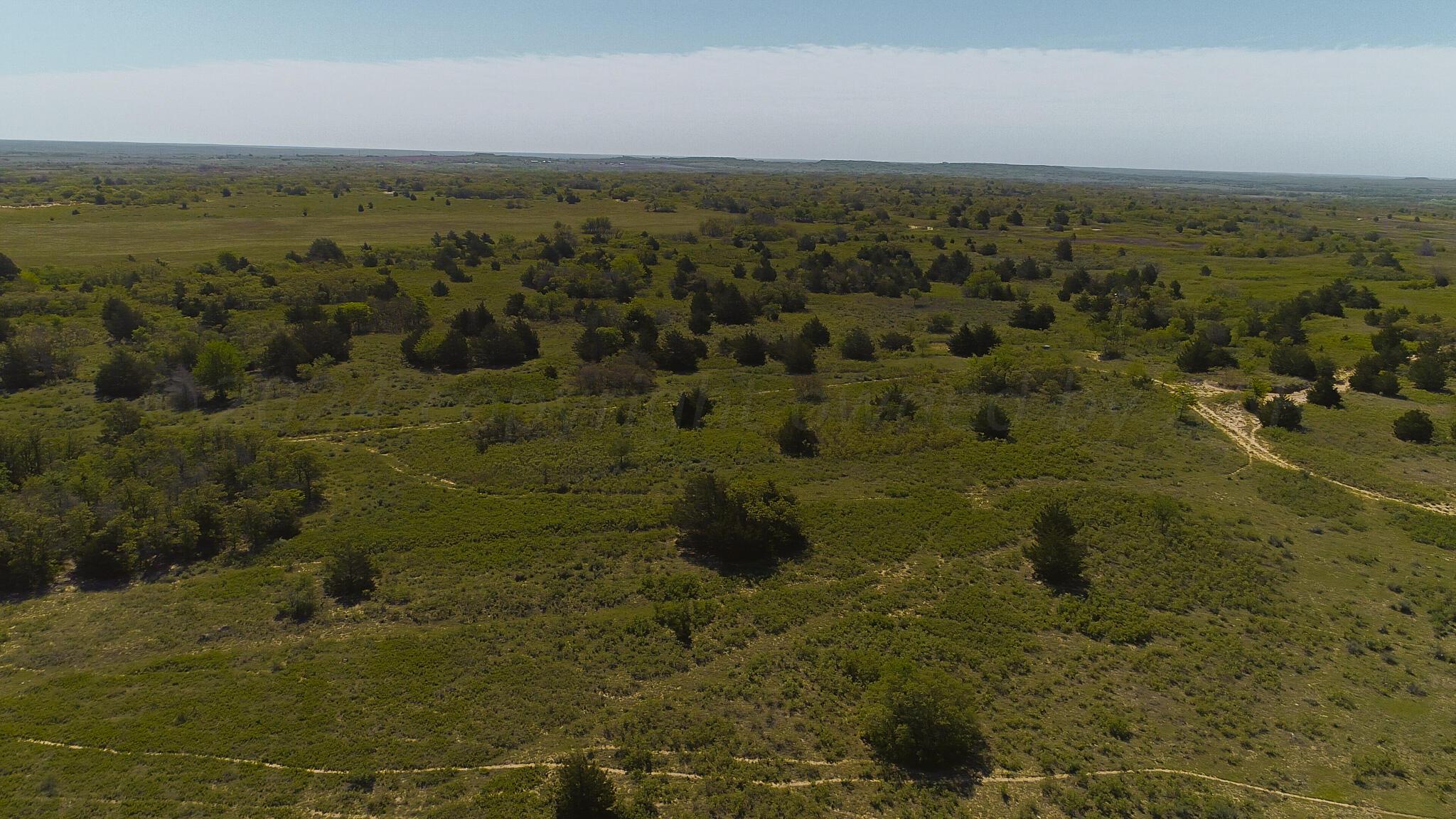 169 Pavolosky Place Street, Shamrock, Texas image 34