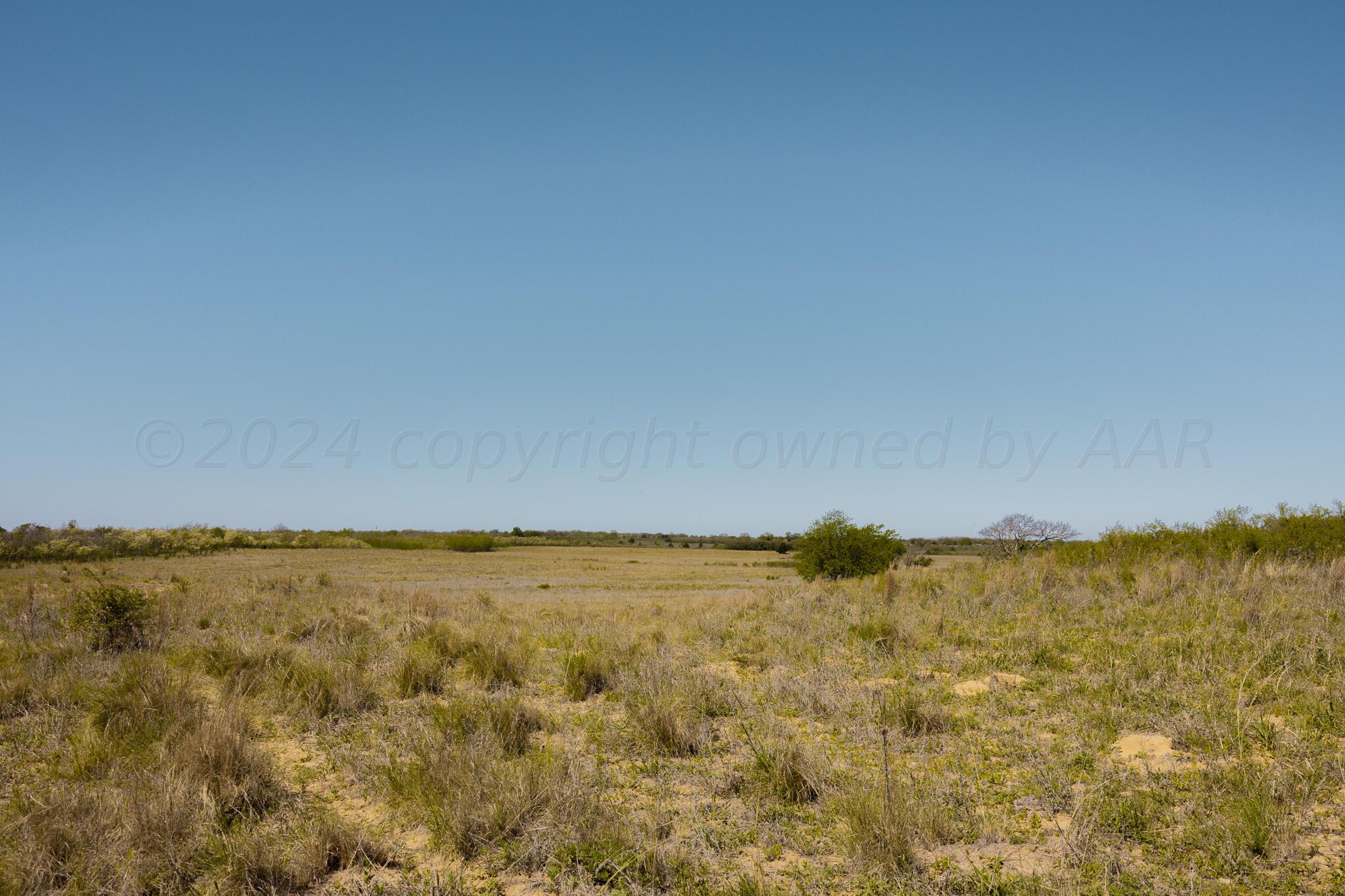 169 Pavolosky Place Street, Shamrock, Texas image 9
