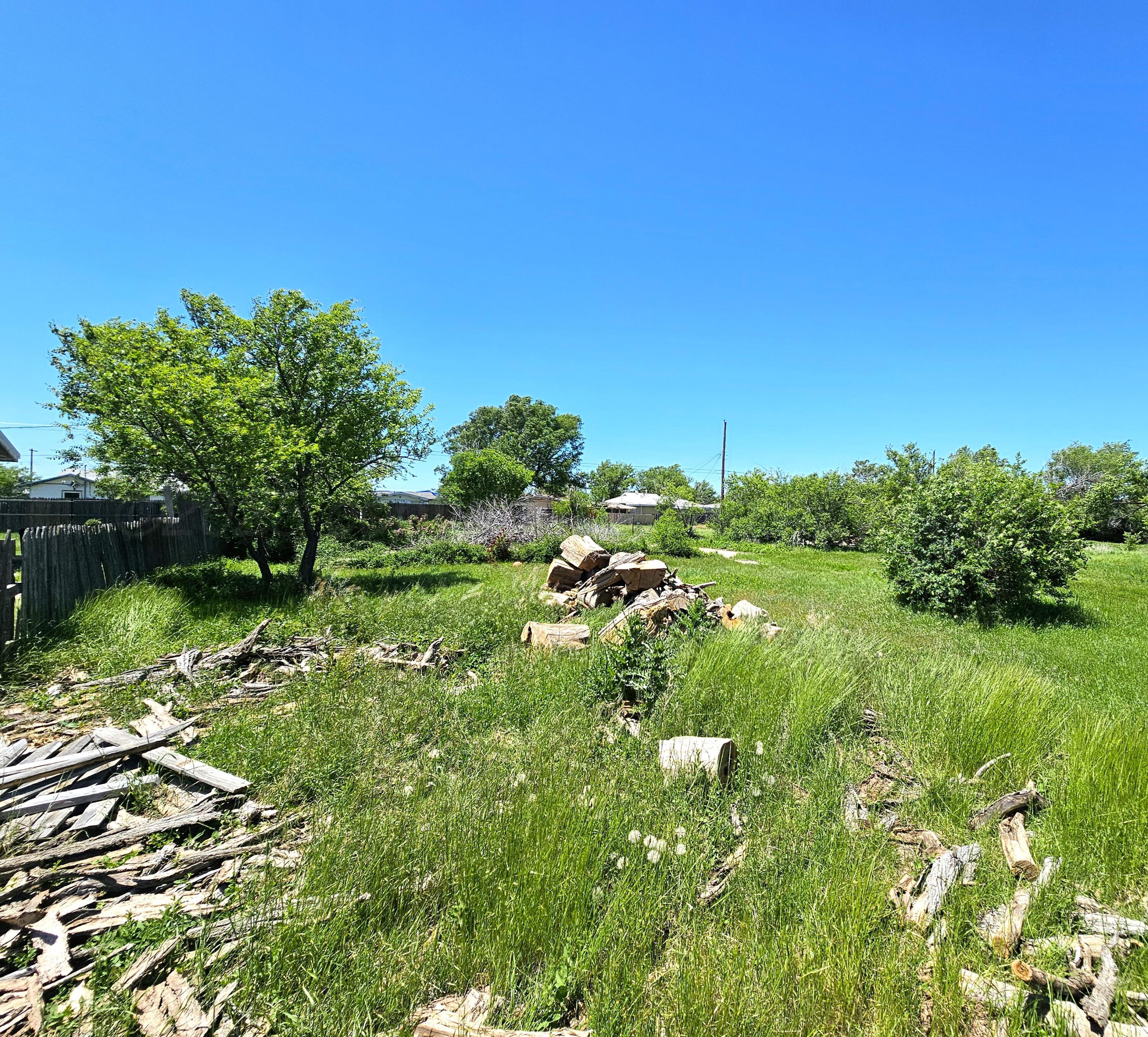 1124 S Vernon Street, Pampa, Alaska image 2