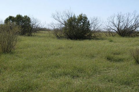 Vacant Land For Sale - 620 Canyon Parkway<br/> Canyon, TX 79015