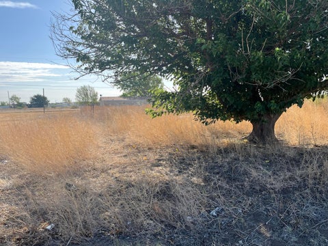 Vacant Land For Sale - 417 Sage Mesa Dr<br/> Fritch, TX 79036
