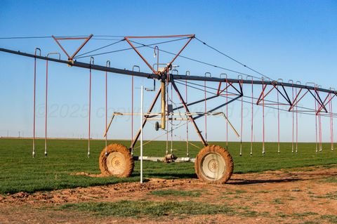 Multifamily For Sale - Te Velde Irrigated Farm<br/> Dimmitt, TX 79027