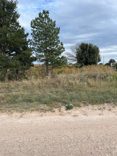 Vacant Land For Sale - 417 Sage Mesa Dr<br/> Fritch, TX 79036
