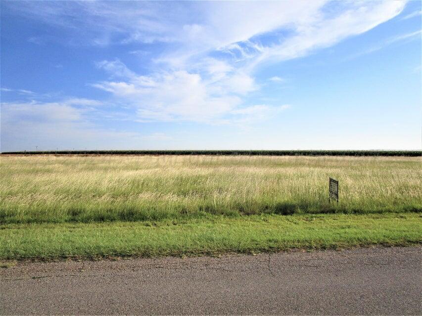 121 E Hidden Hills Drive, Pampa, Alaska image 1