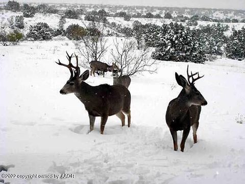 Vacant Land For Sale - 210 Prairie Ave<br/> Canyon, TX 79015