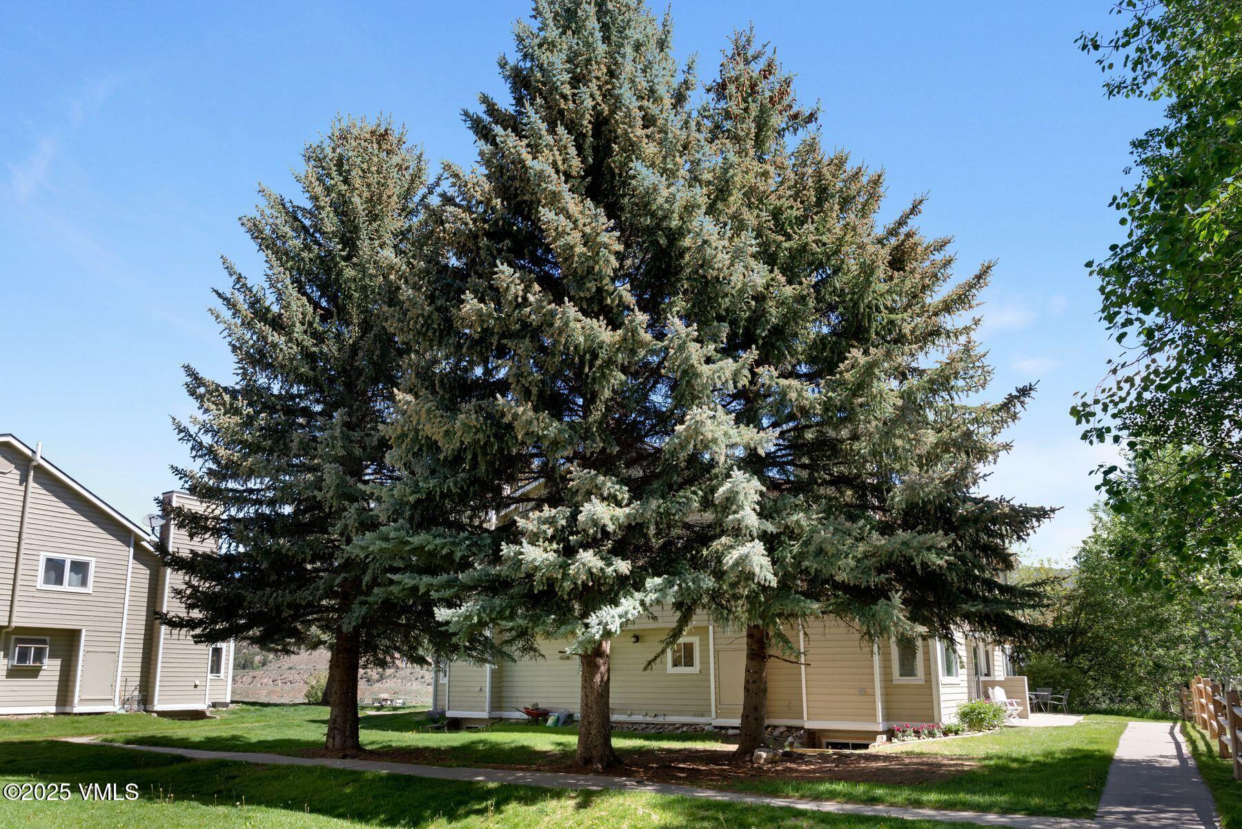 Edwards, Colorado 81632, United States, 3 Bedrooms Bedrooms, ,3 BathroomsBathrooms,Residential,Active,147378