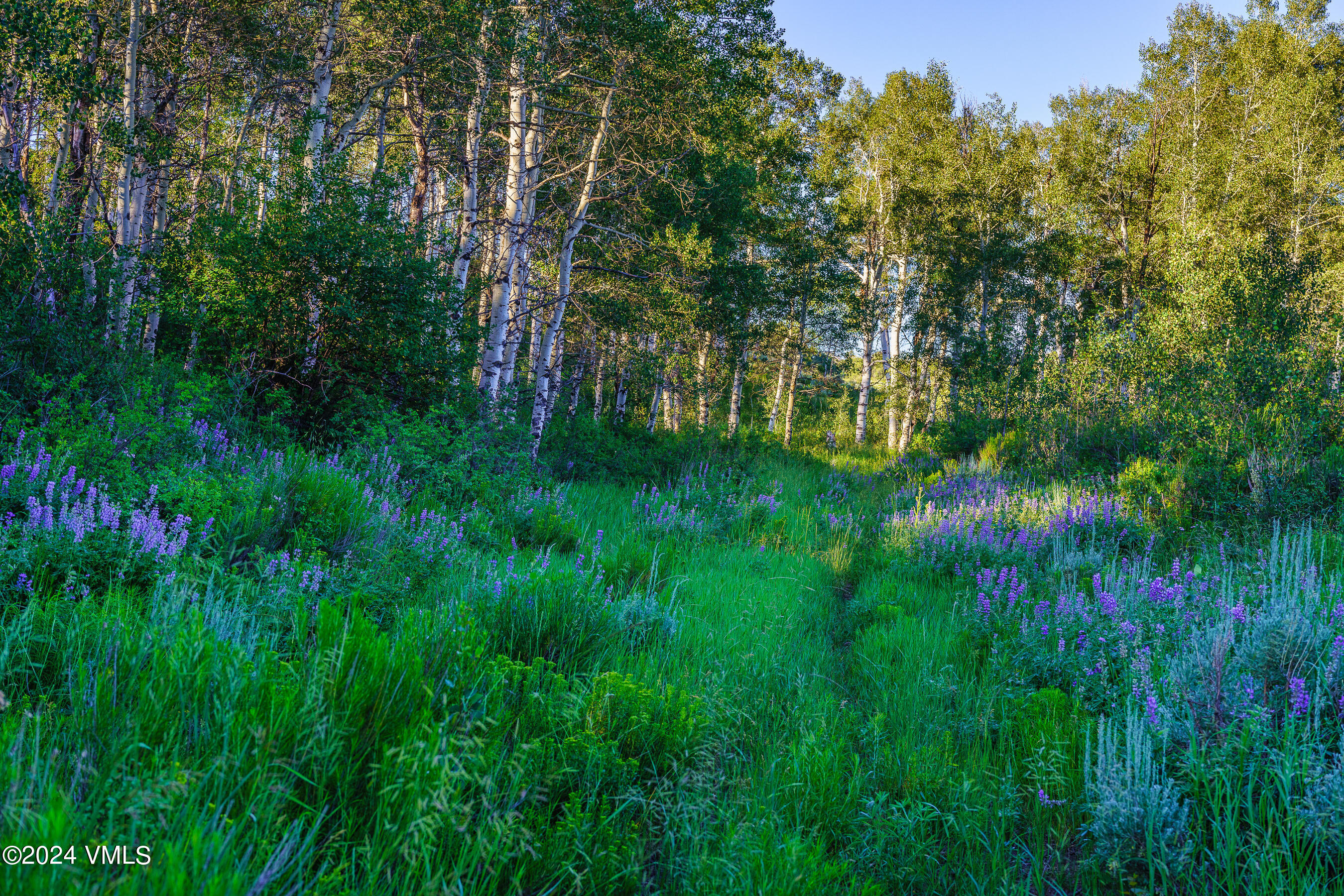 Eagle, Colorado 81631, United States, ,Land,Active,59768