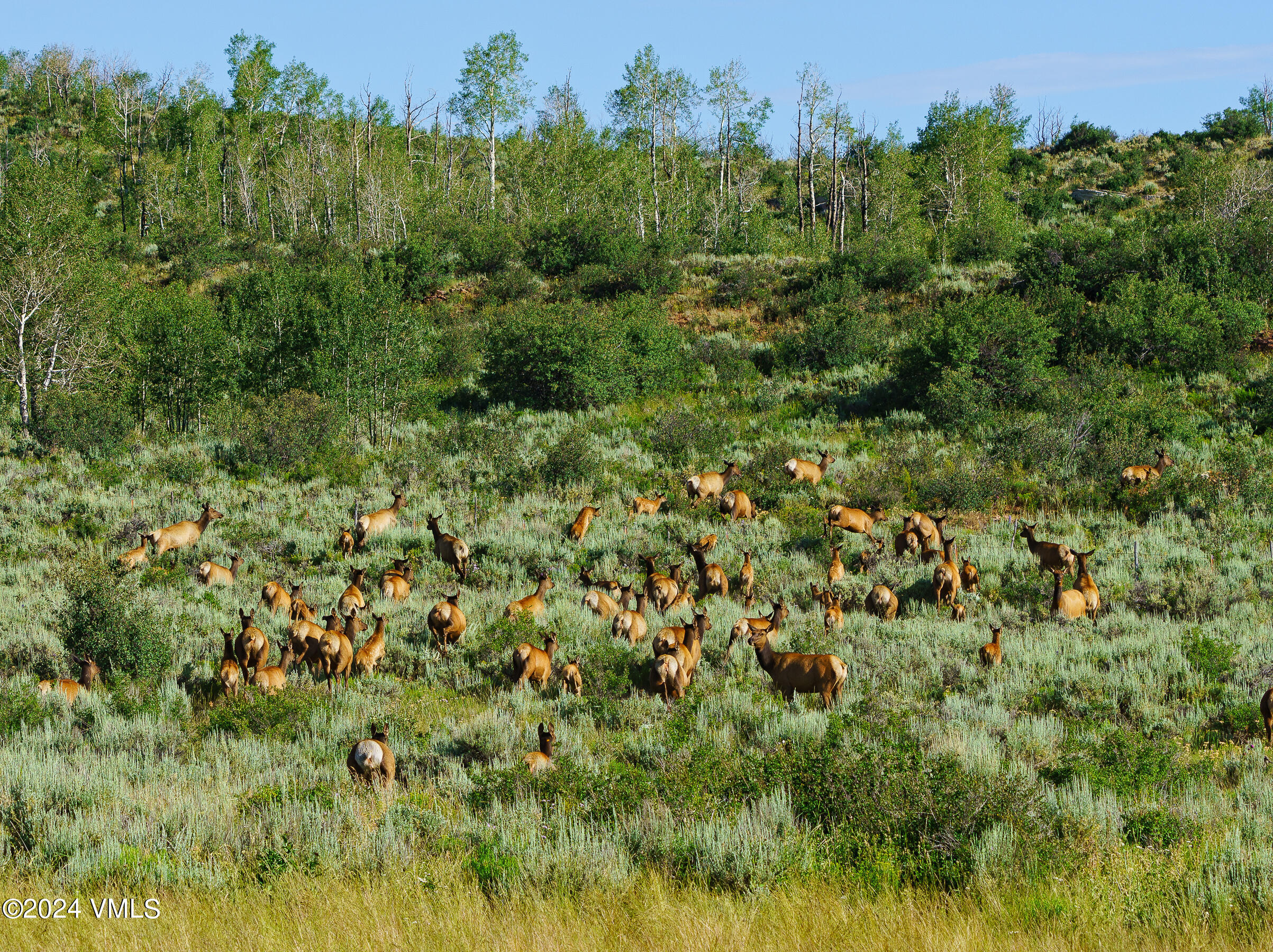 Eagle, Colorado 81631, United States, ,Land,Active,59768