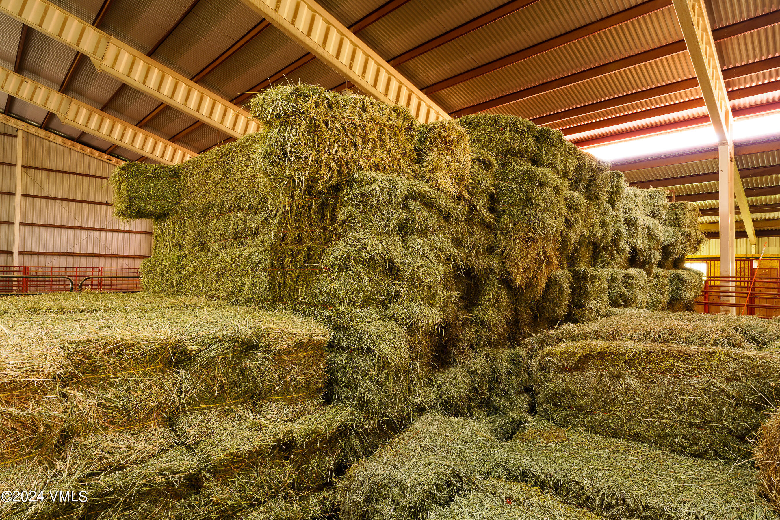 Eagle, Colorado 81631, United States, ,Land,Active,59768