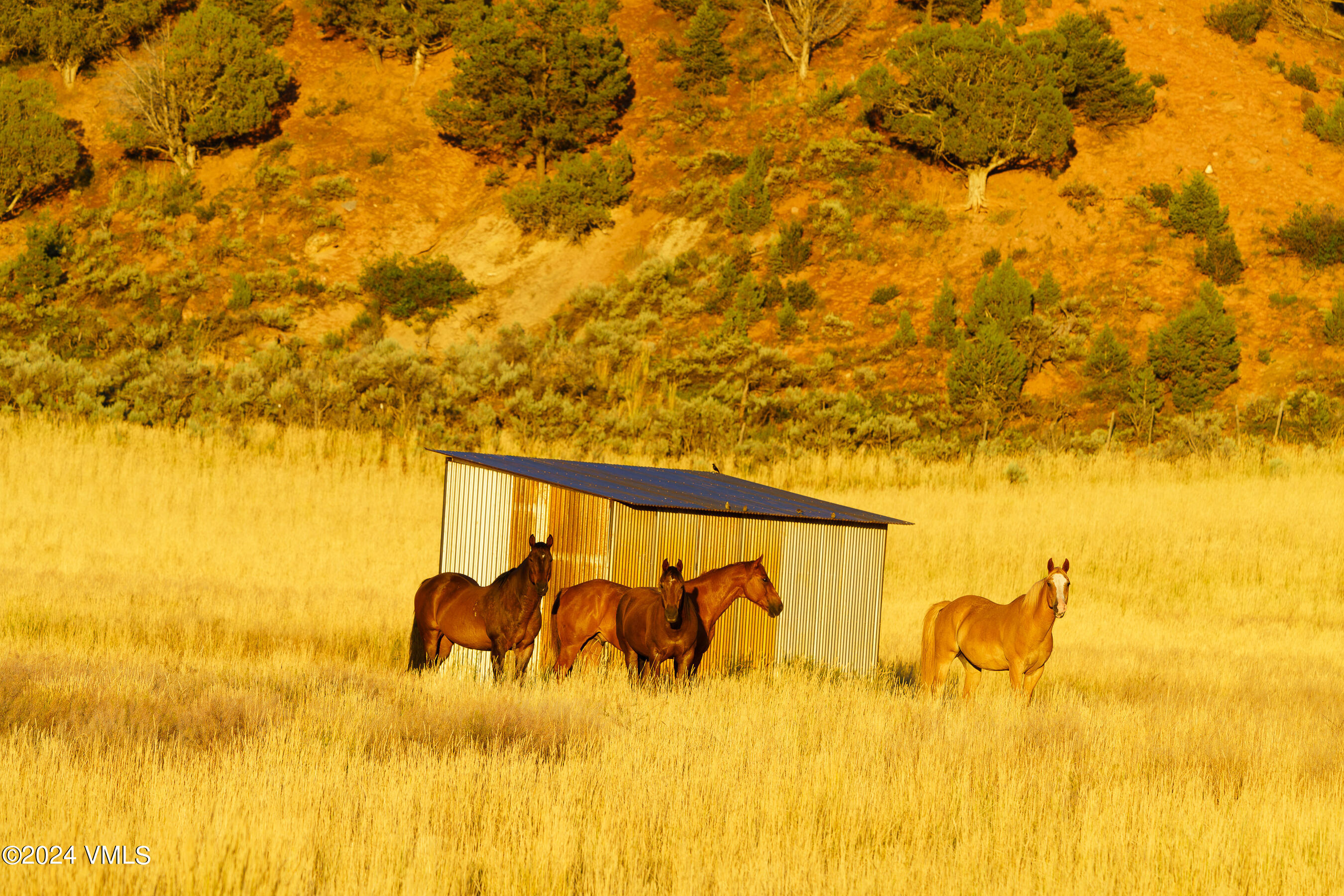 Eagle, Colorado 81631, United States, ,Land,Active,59768