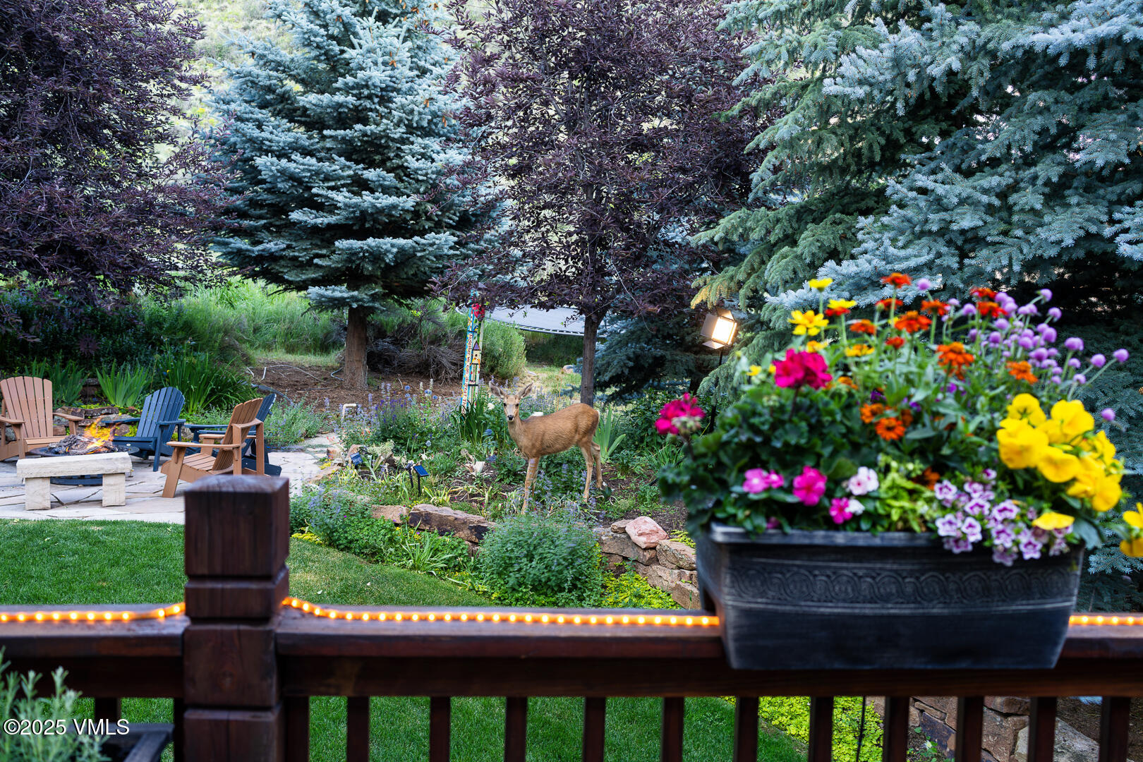 Edwards, Colorado 81632, United States, 5 Bedrooms Bedrooms, ,4 BathroomsBathrooms,Residential,Active,196155