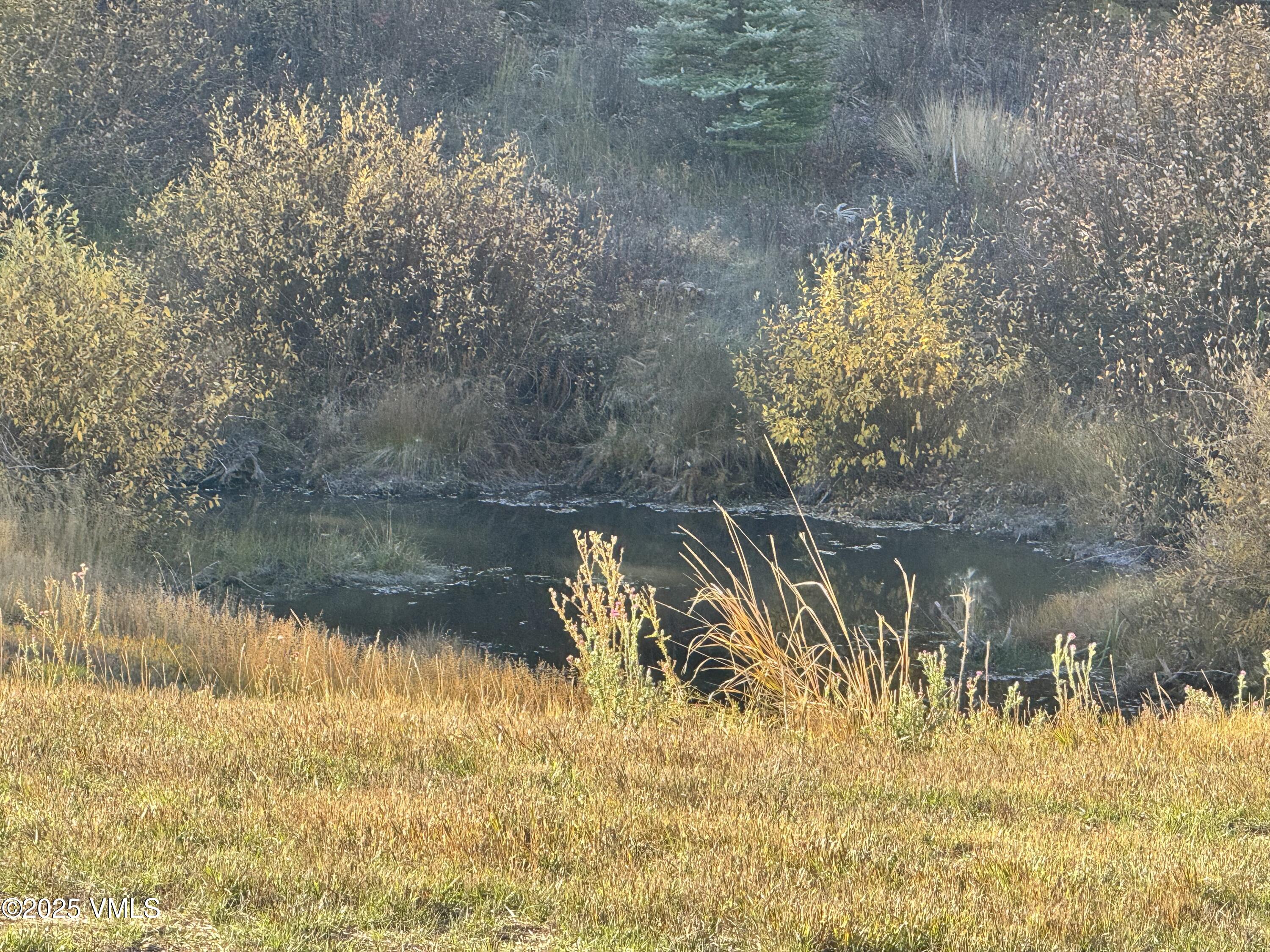 Eagle, Colorado 81631, United States, ,Land,Active,224118