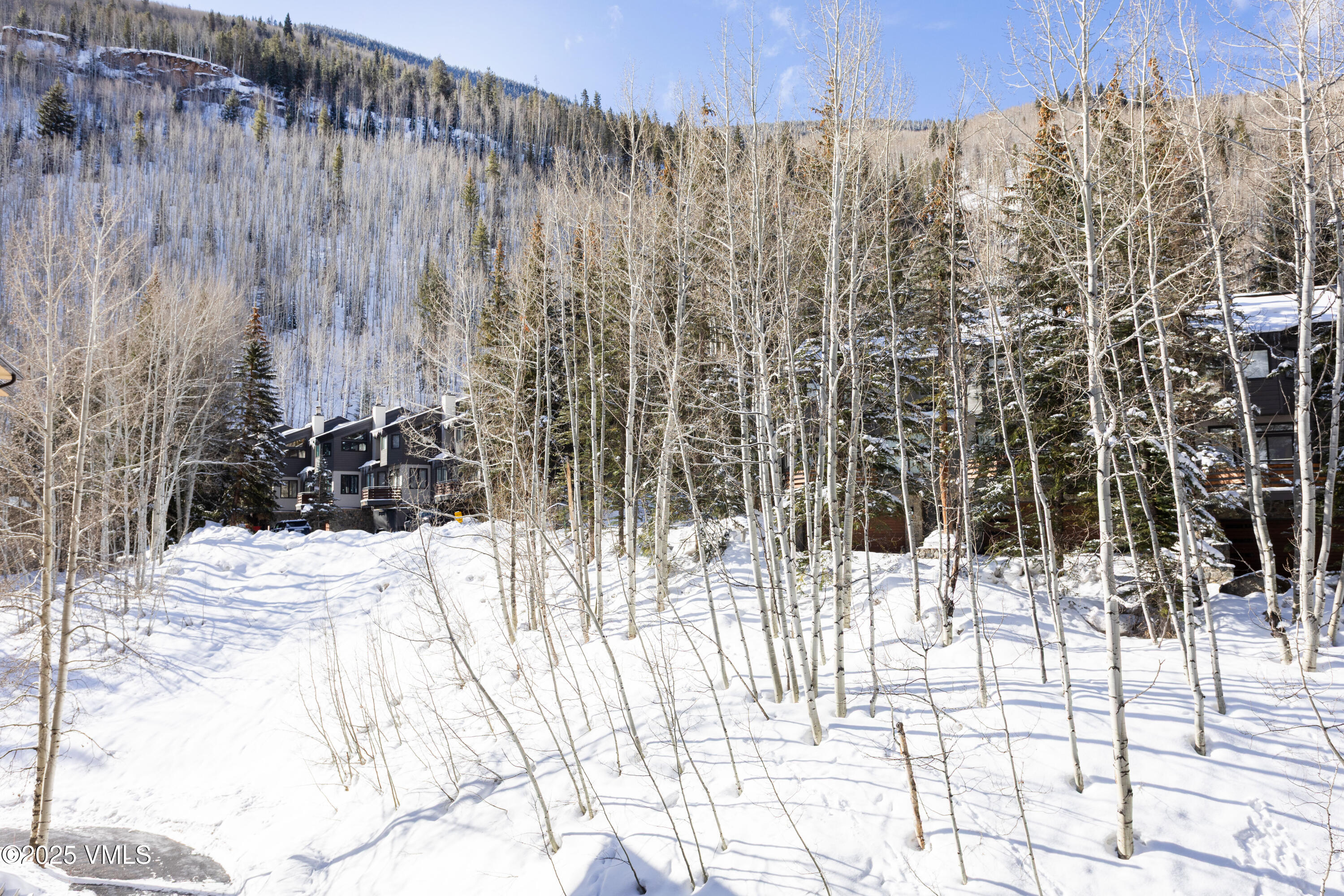 Vail, Colorado 81657, United States, 2 Bedrooms Bedrooms, ,2 BathroomsBathrooms,Residential,Active,103573