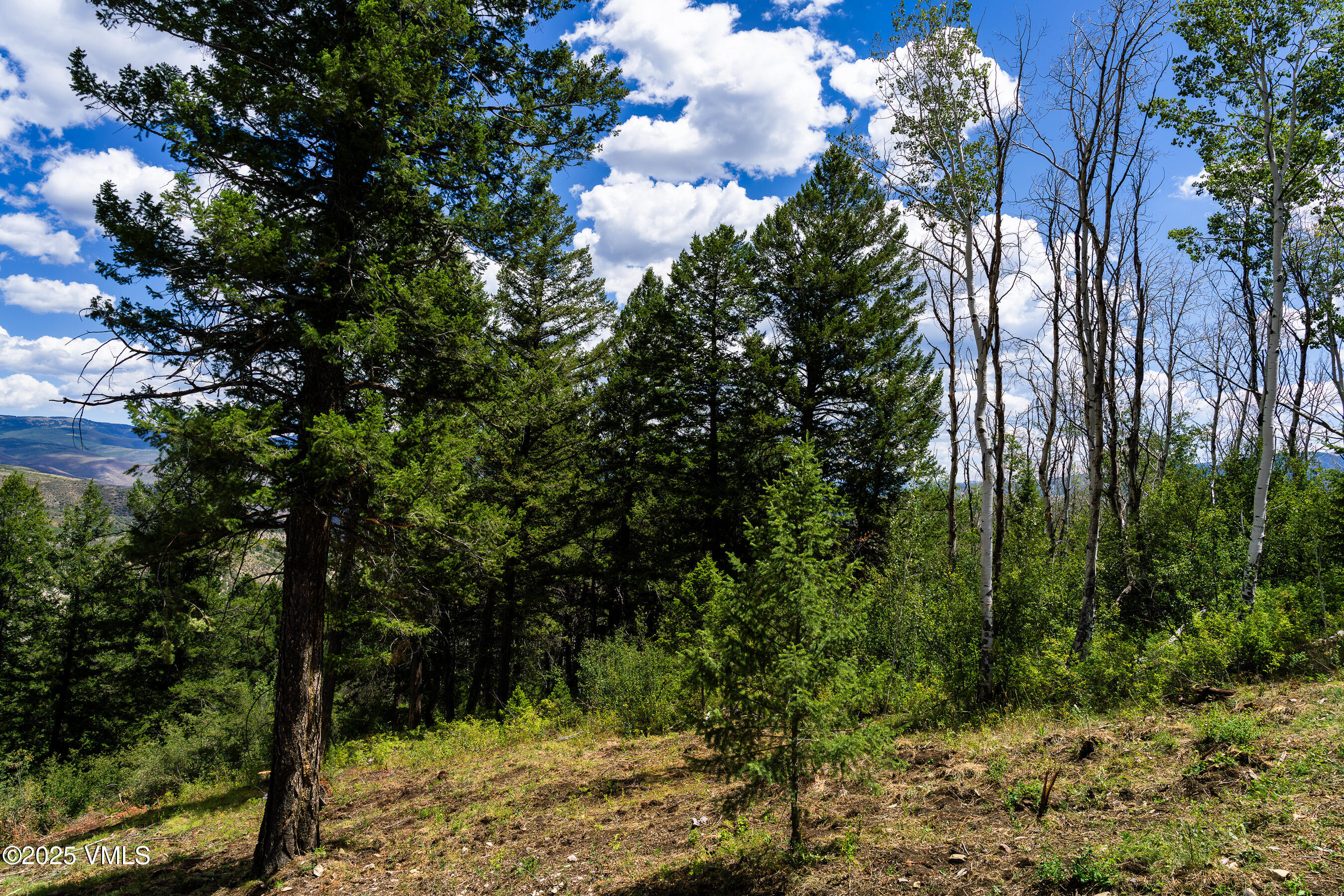 Edwards, Colorado 81632, United States, 5 Bedrooms Bedrooms, ,5 BathroomsBathrooms,Residential,Active,108047