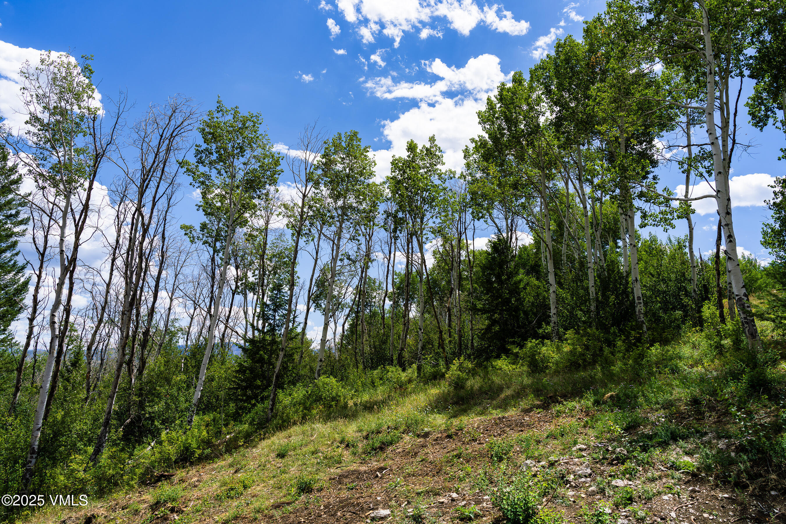 Edwards, Colorado 81632, United States, 5 Bedrooms Bedrooms, ,5 BathroomsBathrooms,Residential,Active,108047