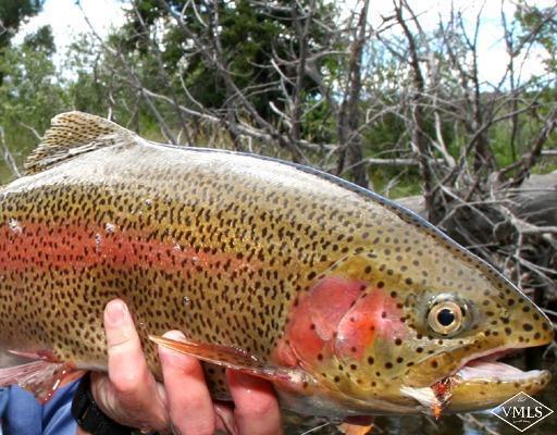 Edwards, Colorado 81632, United States, ,Residential,Active,201531