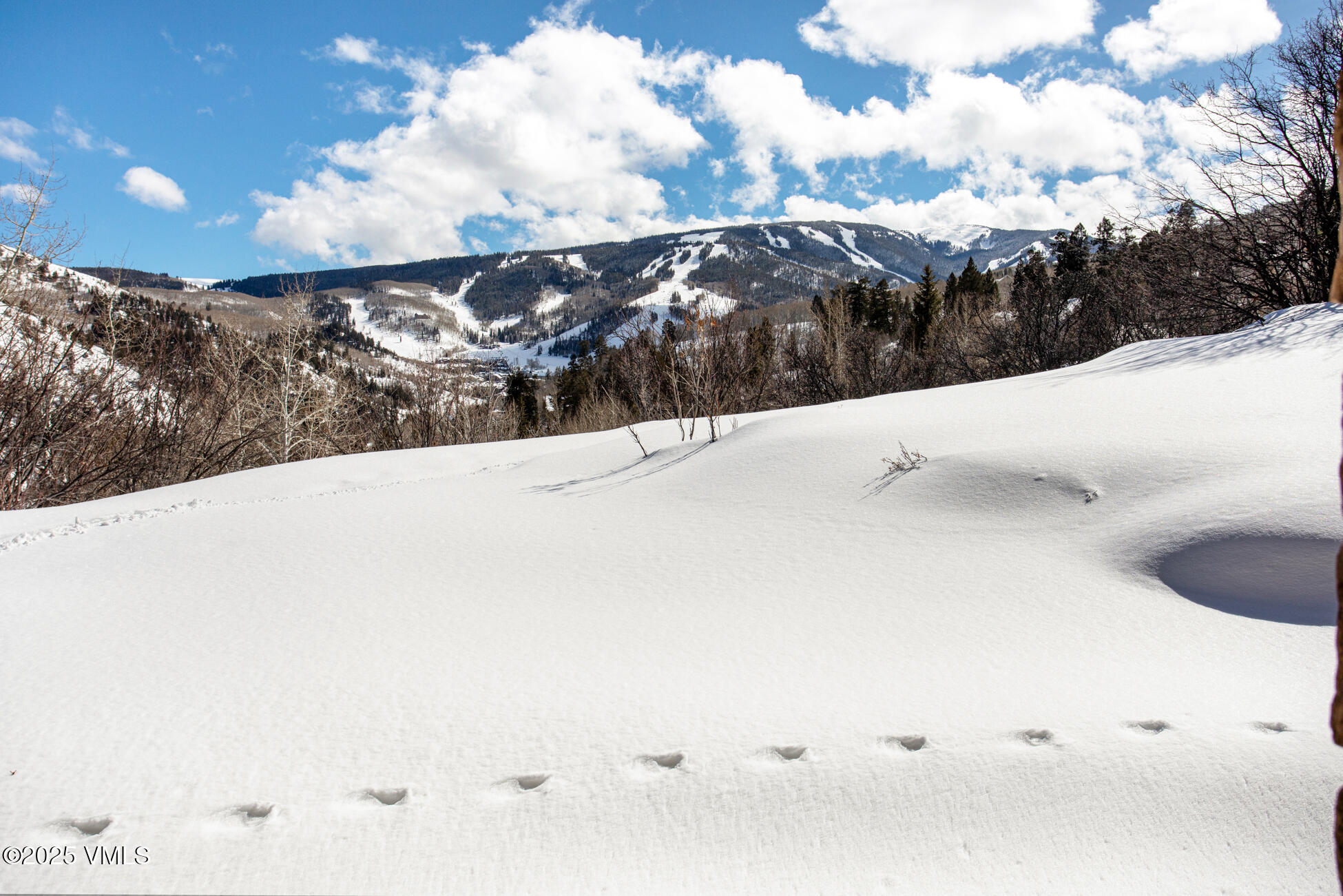 Beaver Creek, Colorado 81620, United States, 5 Bedrooms Bedrooms, ,6 BathroomsBathrooms,Residential,Active,128572