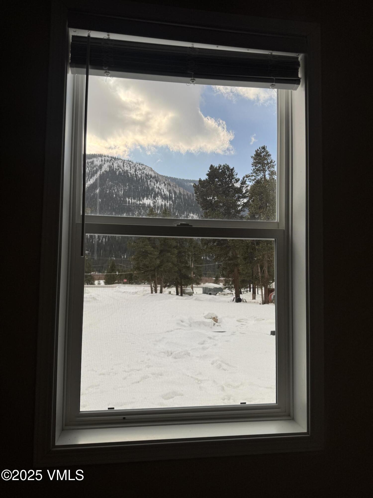 Leadville, Colorado 80461, United States, 6 Bedrooms Bedrooms, ,6 BathroomsBathrooms,Residential,Active,11088