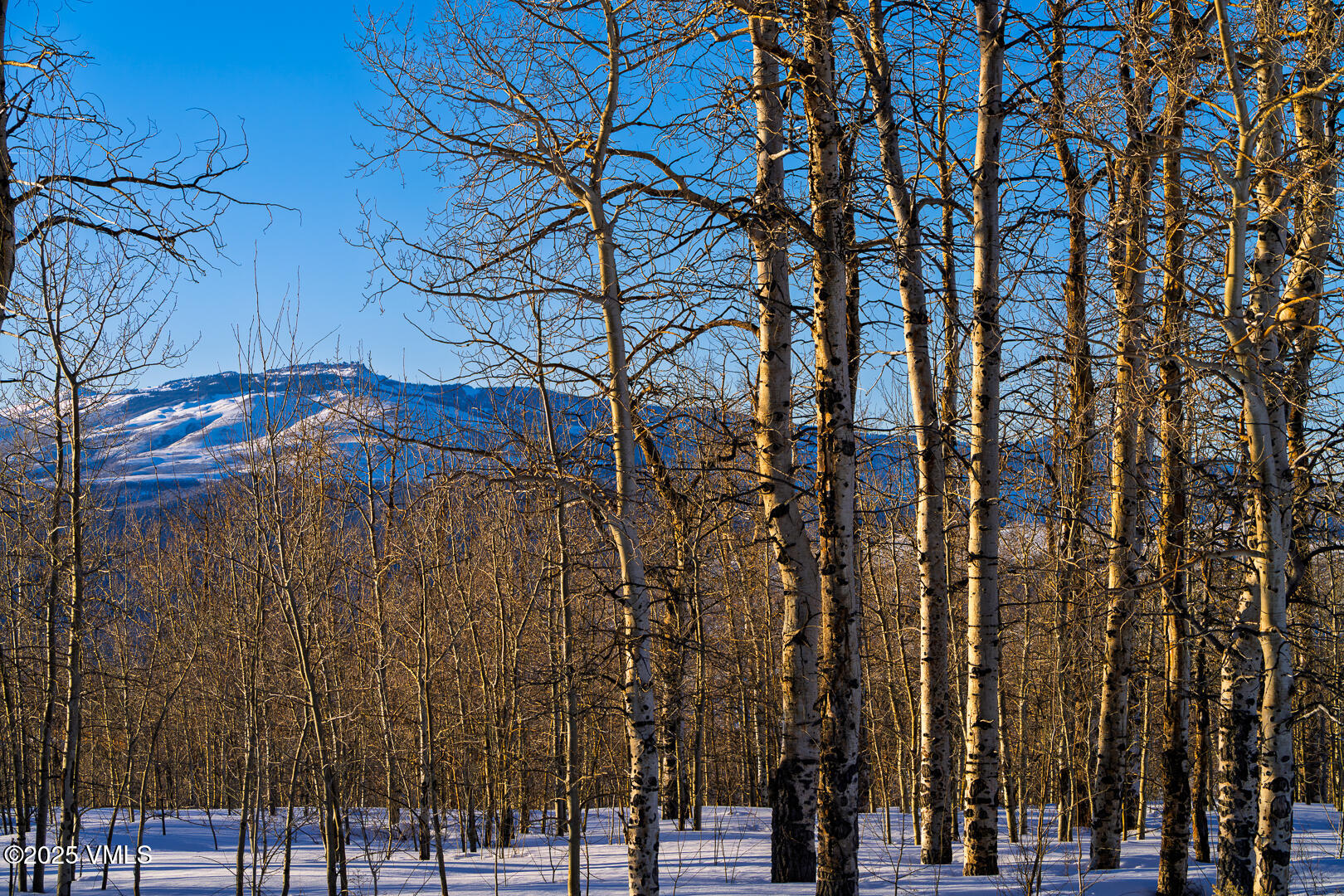 Edwards, Colorado 81632, United States, ,Land,Active,83352
