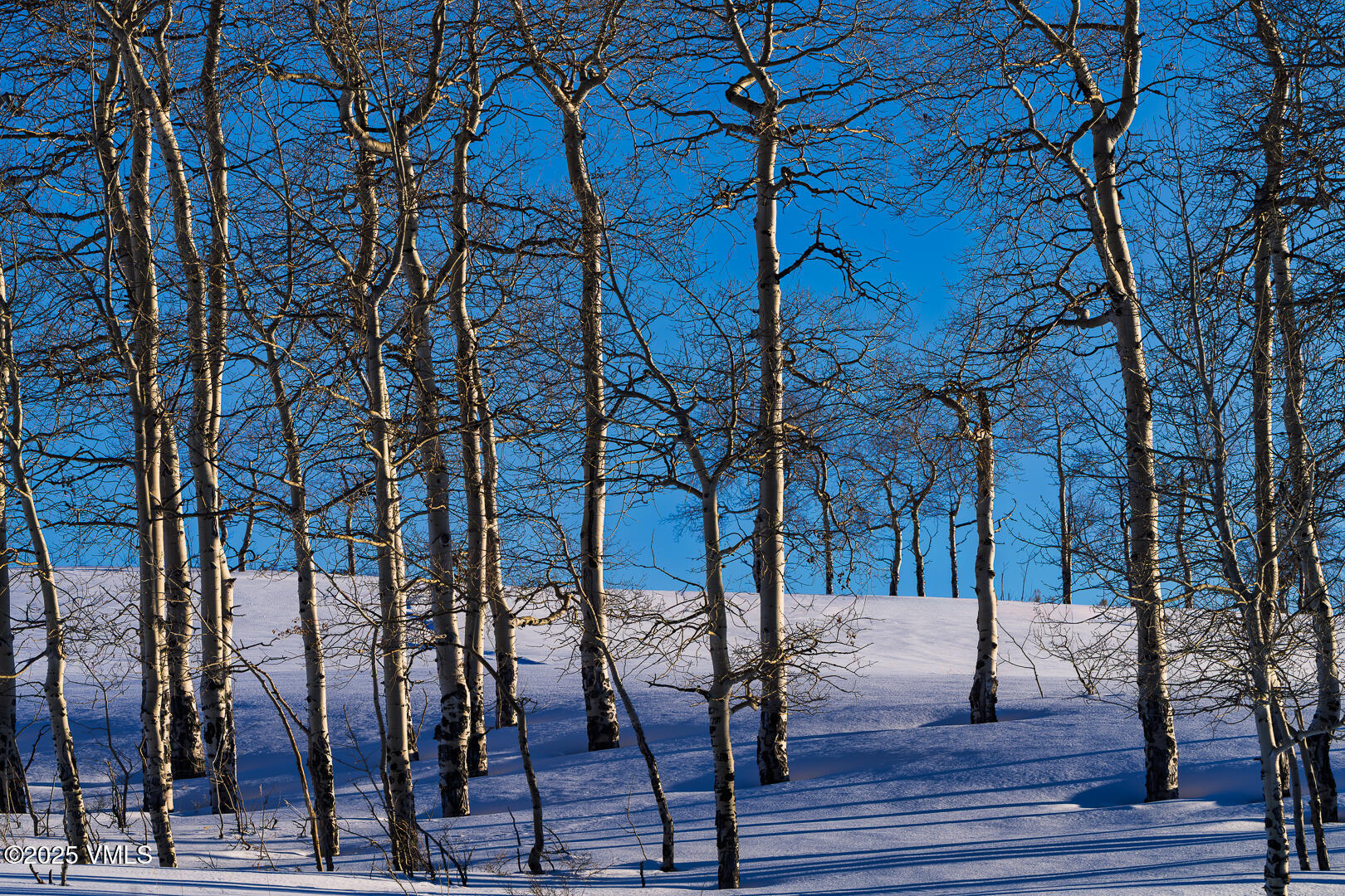 Edwards, Colorado 81632, United States, ,Land,Active,83352