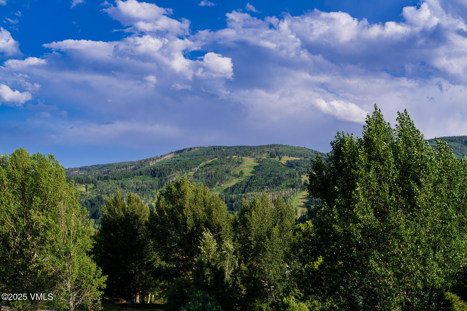 Edwards, Colorado 81632, United States, 5 Bedrooms Bedrooms, ,5 BathroomsBathrooms,Residential,Active,181704