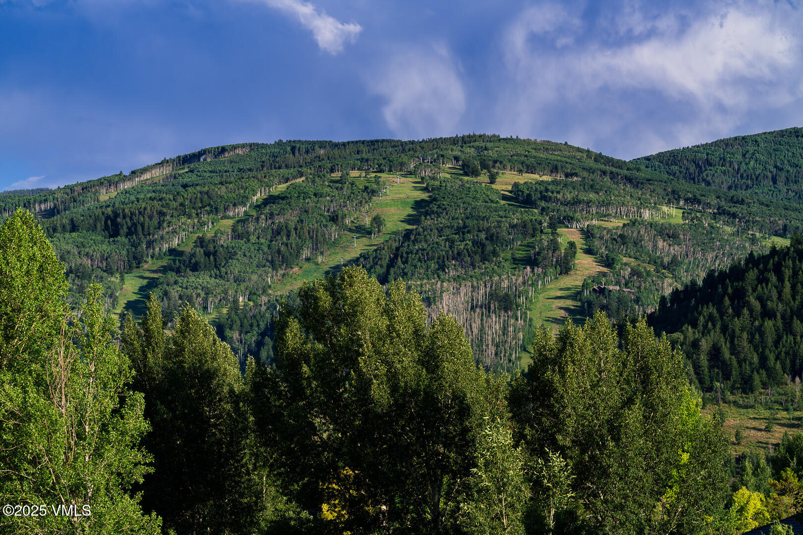 Edwards, Colorado 81632, United States, 5 Bedrooms Bedrooms, ,5 BathroomsBathrooms,Residential,Active,181704