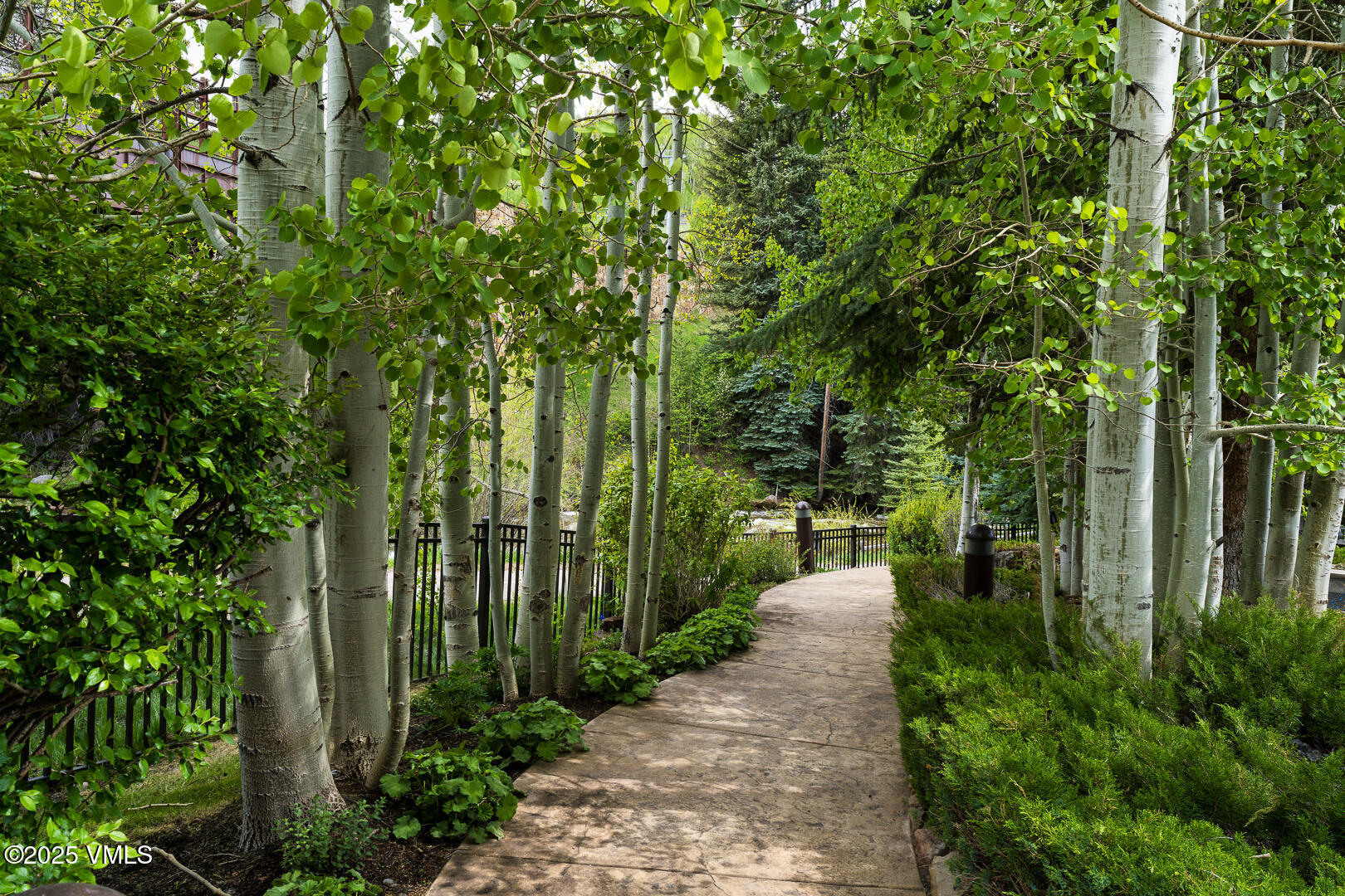 Vail, Colorado 81657, United States, ,1 BathroomBathrooms,Residential,Active,158766