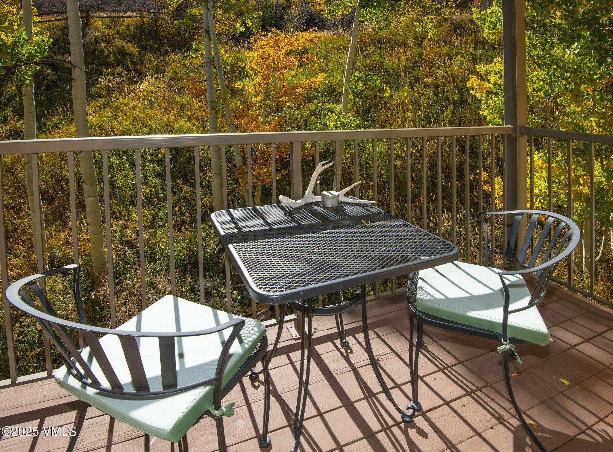 Avon, Colorado 81620, United States, 2 Bedrooms Bedrooms, ,2 BathroomsBathrooms,Residential,Active,230198